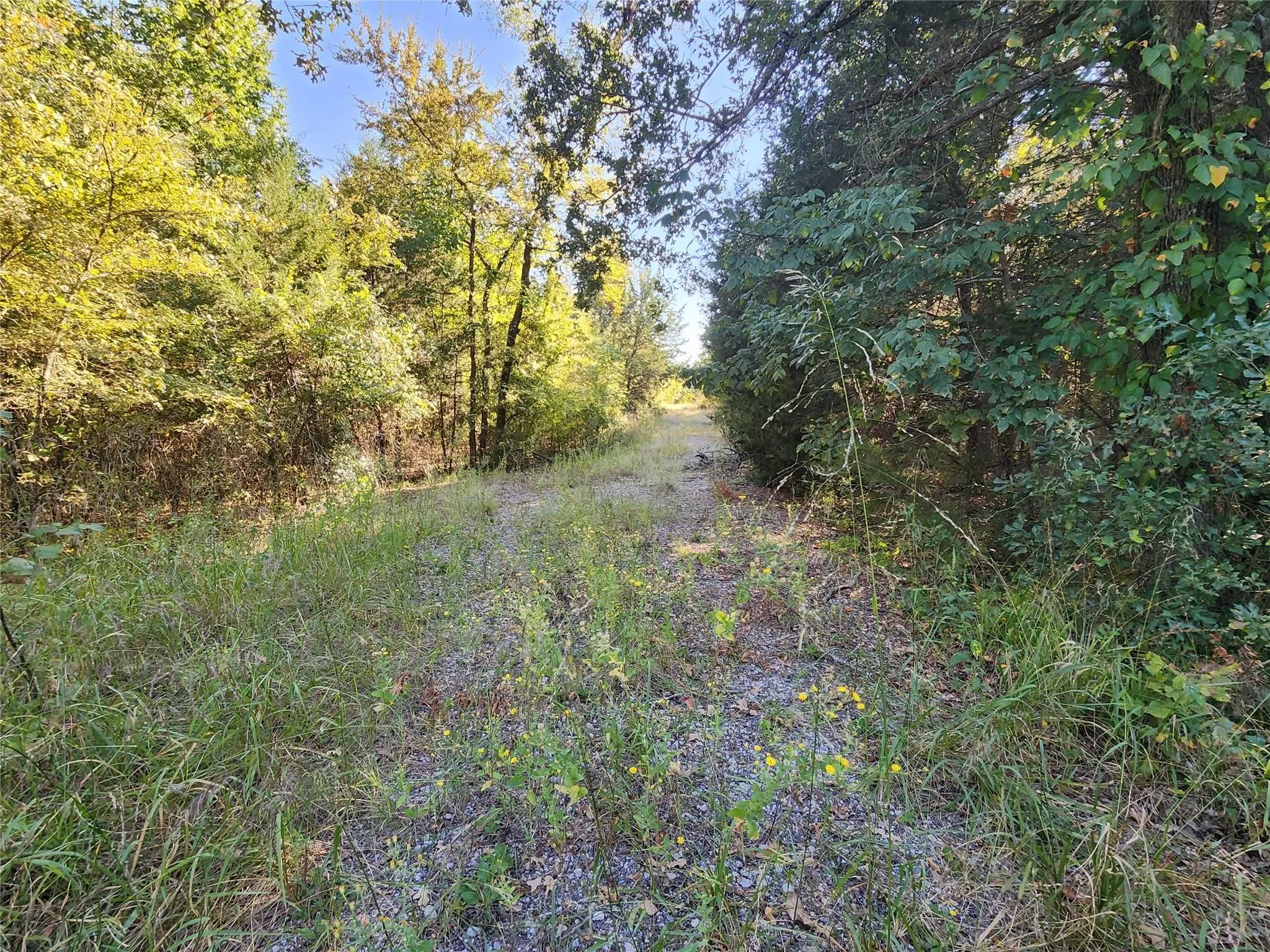 Unimproved Land For Sale in Hunt County , tbd County Rd 3613, Quinlan, Texas 75474, 0, 0, Garage spaces, 0 Sqft, built in 0, Price $1,200,000, mls#21343034, Real Estate Agent in Quinlan, Homes For Sale in Hunt county, Homes For Sale in Quinlan, Realtor in Quinlan Texas, Real Estate Brokerage Independent Realty Texas, Luminita Cordes Realtor