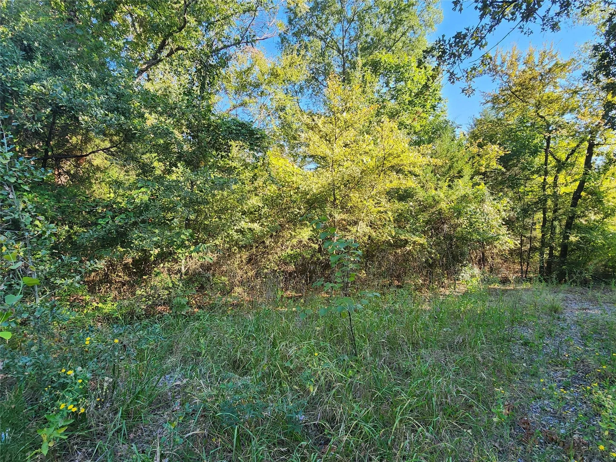 Unimproved Land For Sale in Hunt County , tbd County Rd 3613, Quinlan, Texas 75474, 0, 0, Garage spaces, 0 Sqft, built in 0, Price $1,200,000, mls#21343034, Real Estate Agent in Quinlan, Homes For Sale in Hunt county, Homes For Sale in Quinlan, Realtor in Quinlan Texas, Real Estate Brokerage Independent Realty Texas, Luminita Cordes Realtor