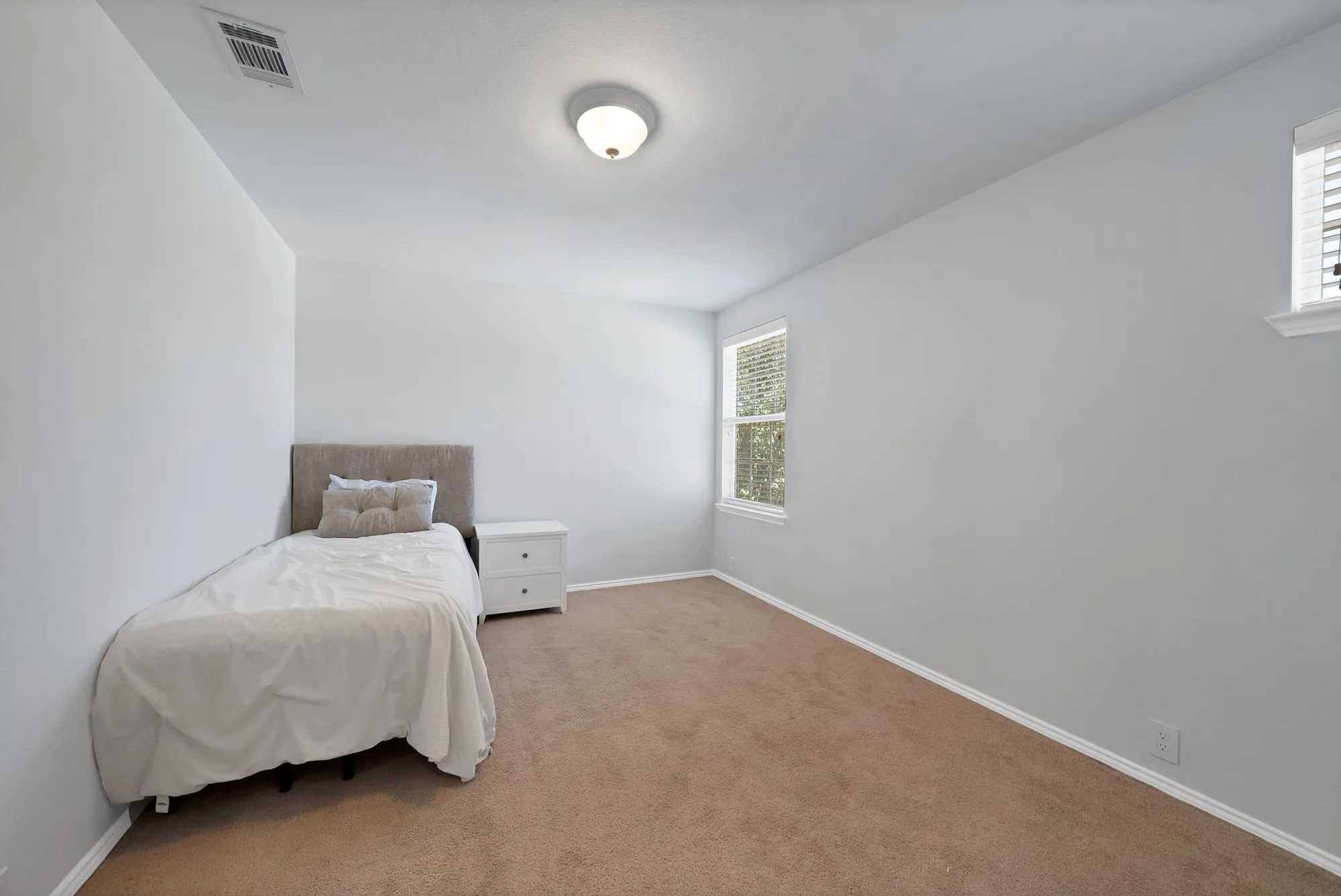 Carpeted room featuring light gray walls, two windows with blinds, a white ceiling, and an overhead flush-mount light fixture