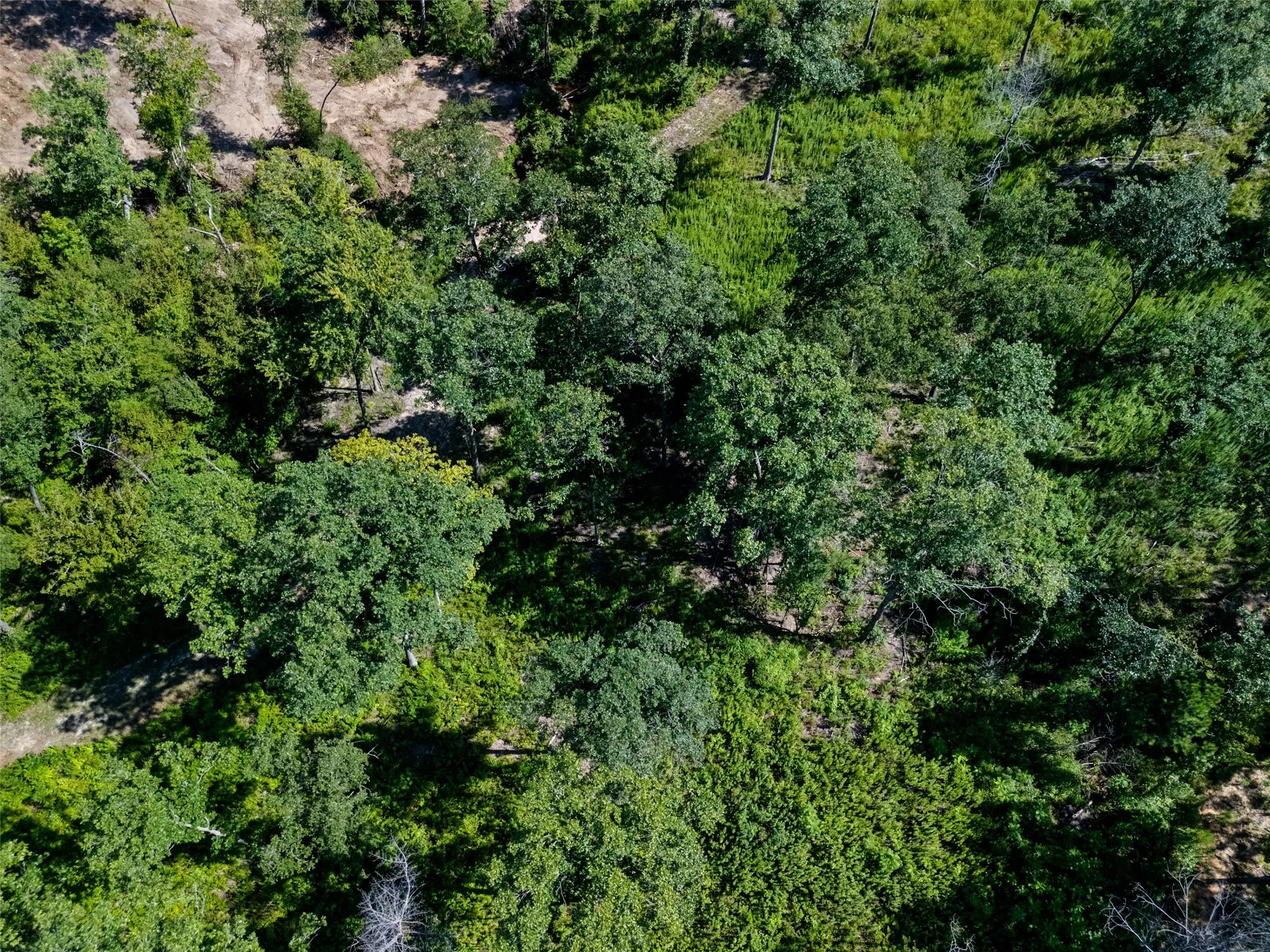Unimproved Land For Sale in Upshur County , TBD Hwy 259, Ore City, Texas 75683, 0, 0, Garage spaces, 0 Sqft, built in 0, mls#21343181, Real Estate Agent in Ore City, Homes For Sale in Upshur county, Homes For Sale in Ore City, Realtor in Ore City Texas, Real Estate Brokerage Independent Realty Texas, Luminita Cordes Realtor