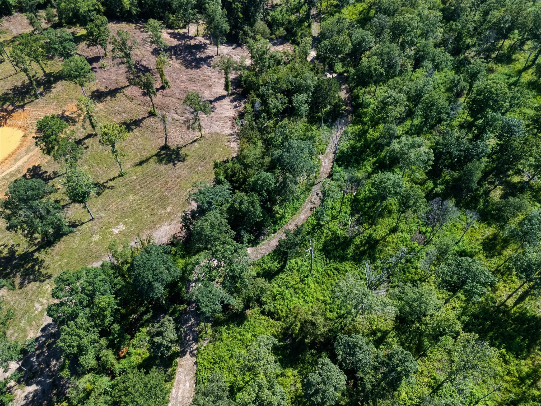 Unimproved Land For Sale in Upshur County , TBD Hwy 259, Ore City, Texas 75683, 0, 0, Garage spaces, 0 Sqft, built in 0, mls#21343181, Real Estate Agent in Ore City, Homes For Sale in Upshur county, Homes For Sale in Ore City, Realtor in Ore City Texas, Real Estate Brokerage Independent Realty Texas, Luminita Cordes Realtor