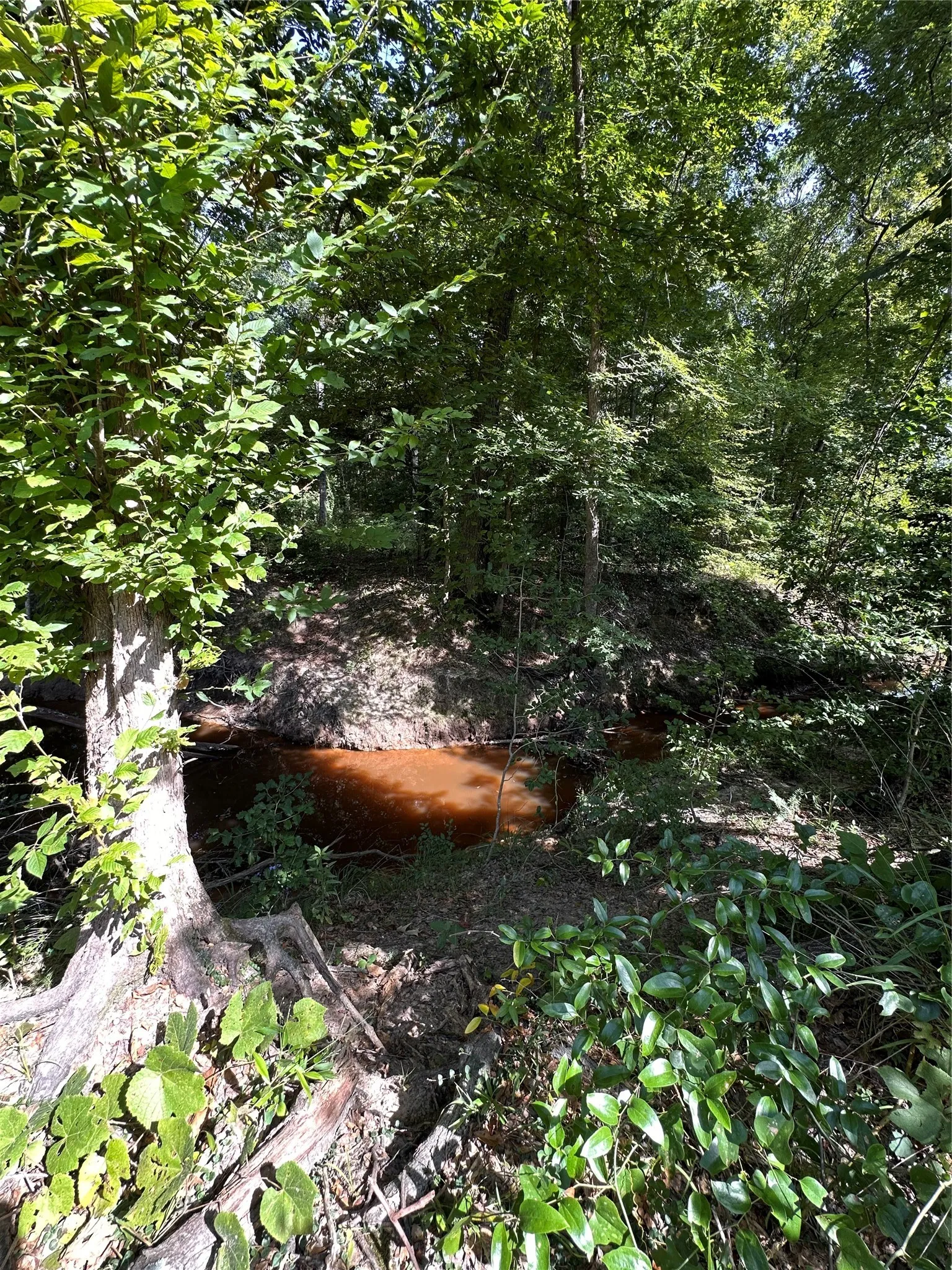 Unimproved Land For Sale in Upshur County , TBD Hwy 259, Ore City, Texas 75683, 0, 0, Garage spaces, 0 Sqft, built in 0, mls#21343181, Real Estate Agent in Ore City, Homes For Sale in Upshur county, Homes For Sale in Ore City, Realtor in Ore City Texas, Real Estate Brokerage Independent Realty Texas, Luminita Cordes Realtor