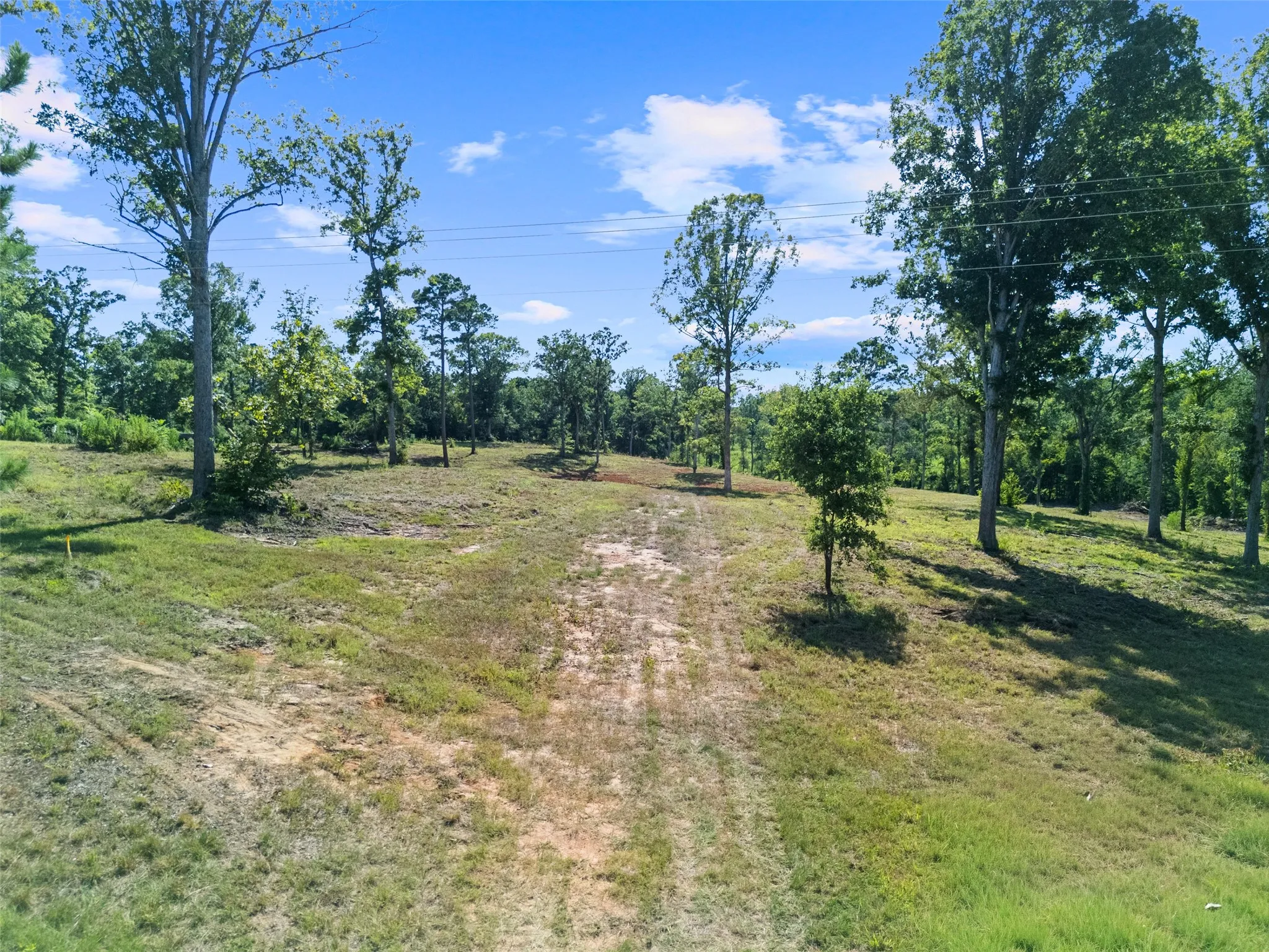 Unimproved Land For Sale in Upshur County , TBD Hwy 259, Ore City, Texas 75683, 0, 0, Garage spaces, 0 Sqft, built in 0, mls#21343181, Real Estate Agent in Ore City, Homes For Sale in Upshur county, Homes For Sale in Ore City, Realtor in Ore City Texas, Real Estate Brokerage Independent Realty Texas, Luminita Cordes Realtor
