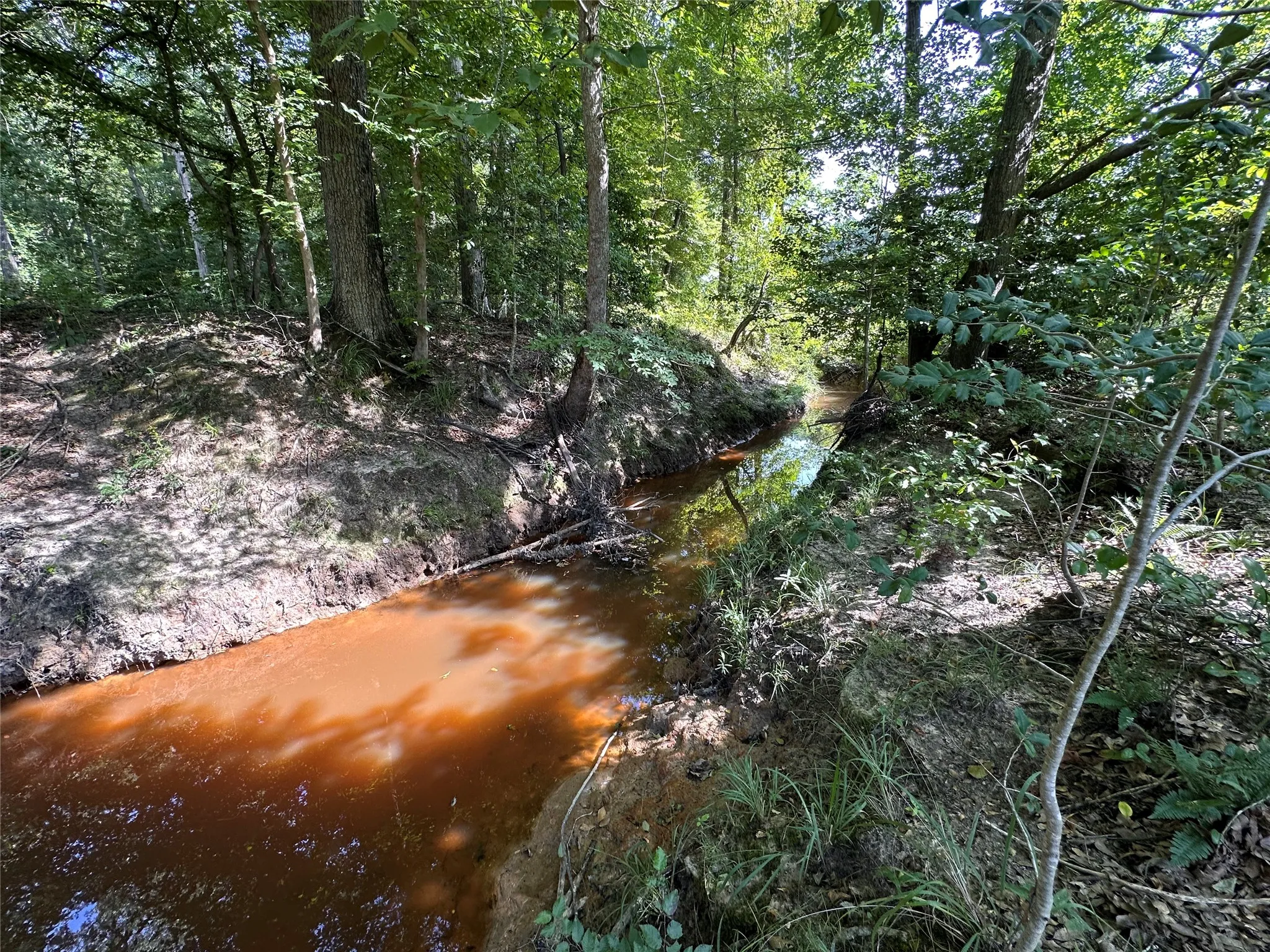 Unimproved Land For Sale in Upshur County , TBD Hwy 259, Ore City, Texas 75683, 0, 0, Garage spaces, 0 Sqft, built in 0, mls#21343181, Real Estate Agent in Ore City, Homes For Sale in Upshur county, Homes For Sale in Ore City, Realtor in Ore City Texas, Real Estate Brokerage Independent Realty Texas, Luminita Cordes Realtor