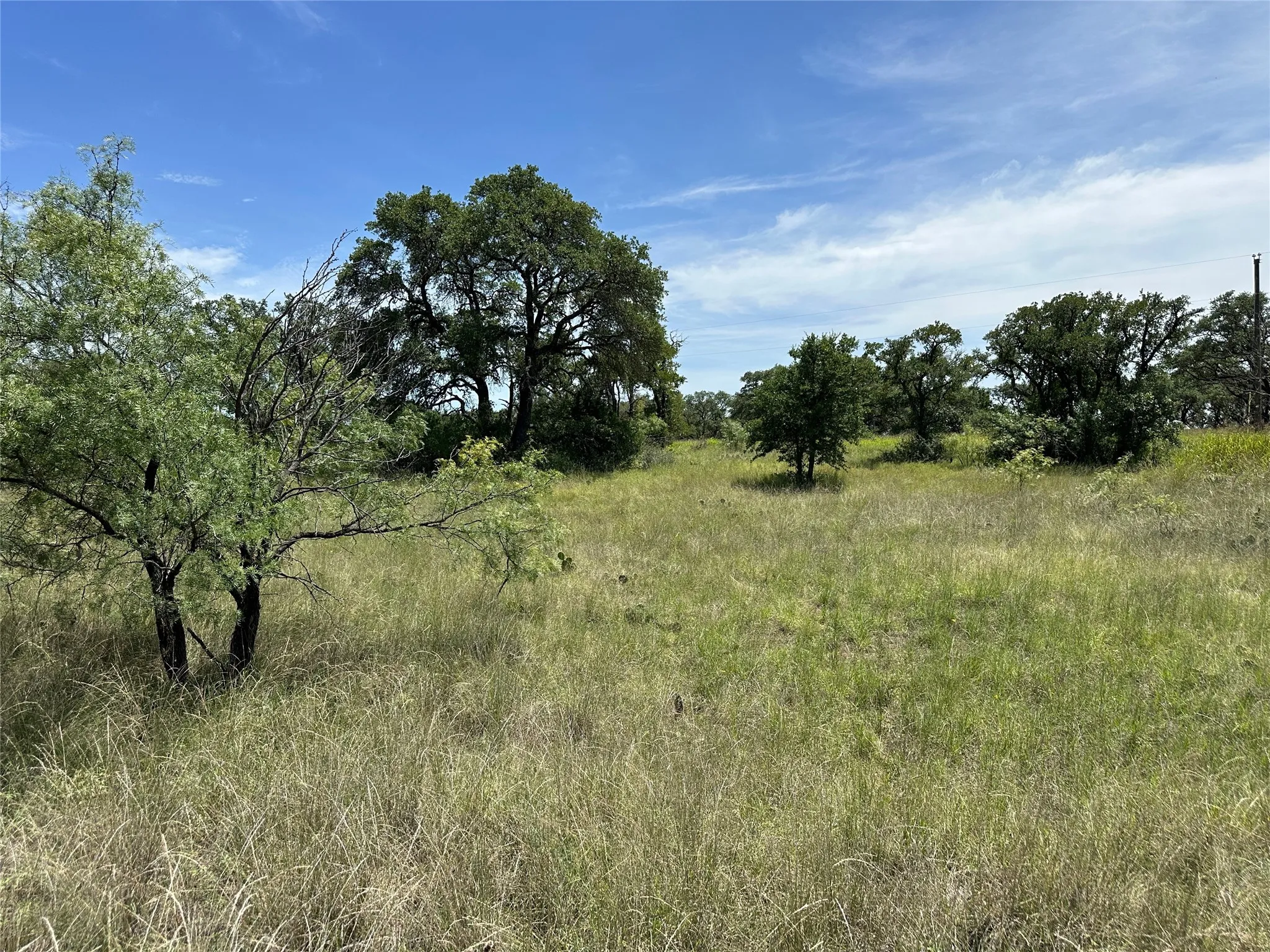 Expansive natural landscape featuring varied green foliage and mature trees under an open sky