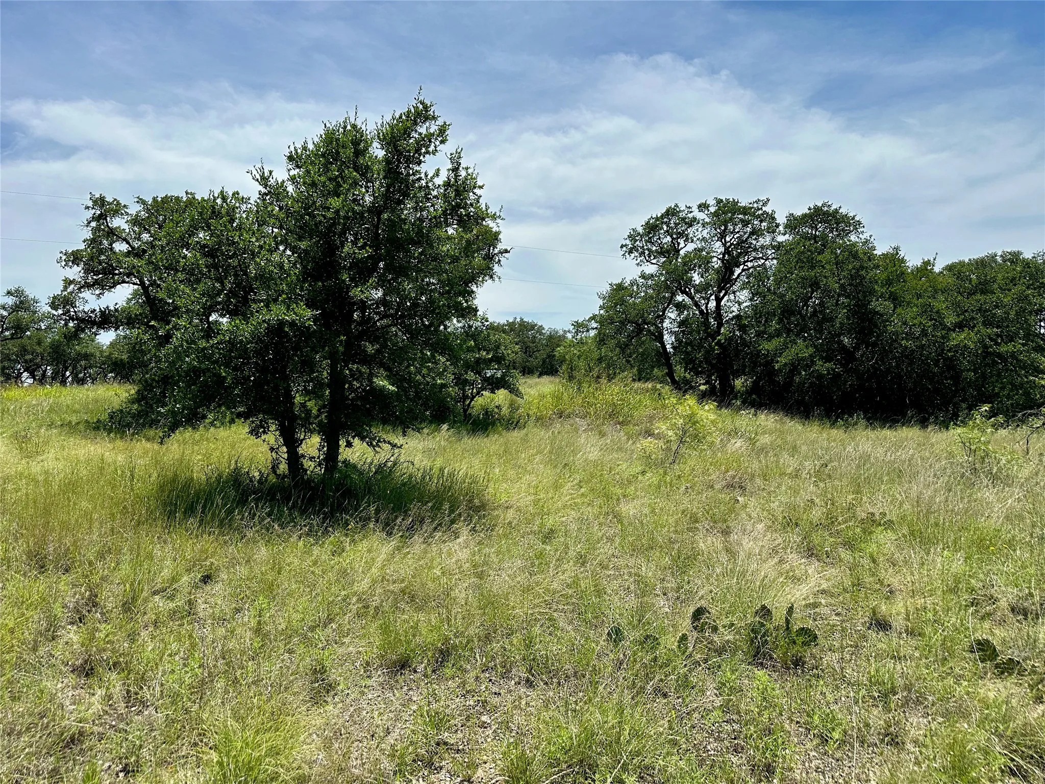Unimproved Land For Sale in Brown County , 1078 Lake Breeze Drive, Brownwood, Texas 76801, 0, 0, Garage spaces, 0 Sqft, built in 0, Price $17,000, mls#21344231, Real Estate Agent in Brownwood, Homes For Sale in Brown county, Homes For Sale in Brownwood, Realtor in Brownwood Texas, Real Estate Brokerage Independent Realty Texas, Luminita Cordes Realtor