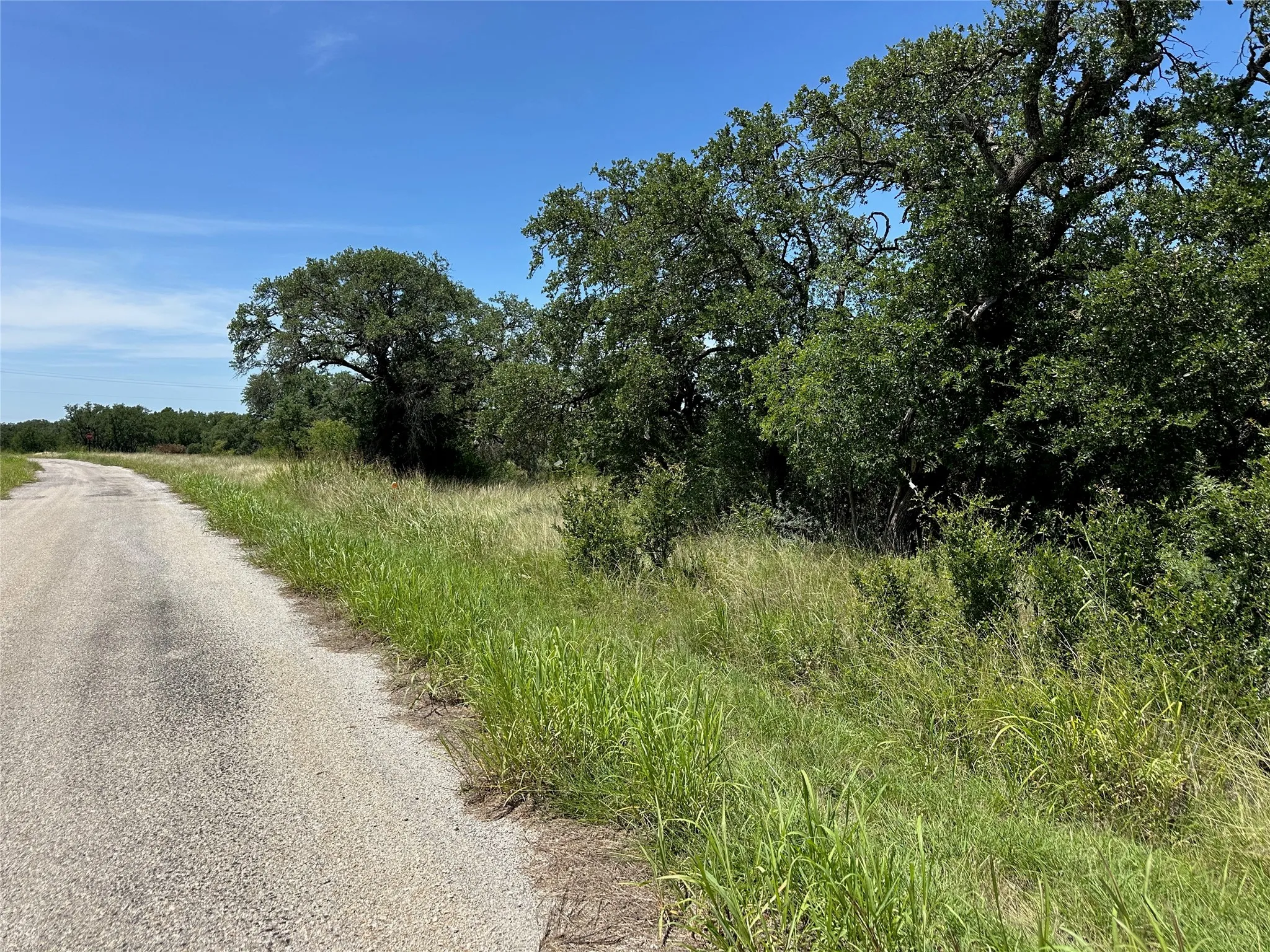 Gravel road with mature trees lining the property boundary, featuring dense green foliage and a natural landscape