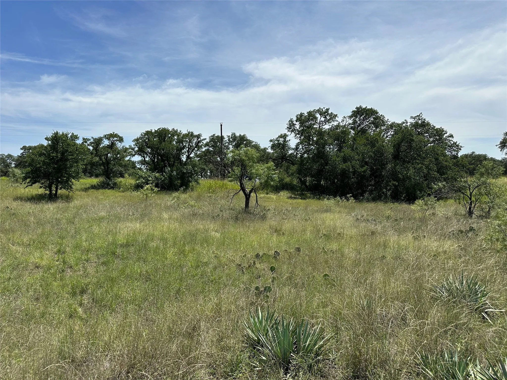 Expansive open acreage featuring varied green and golden grasses, mature trees, and native plants