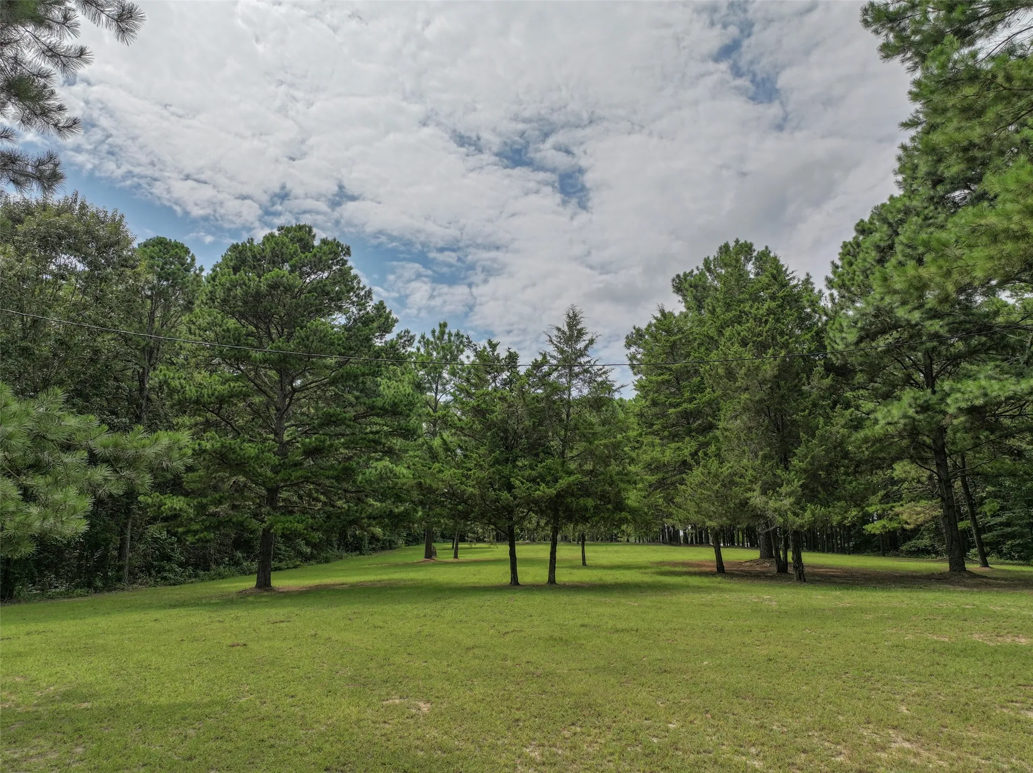 Improved Land For Sale in Bowie County , 127 S County Road 1001, New Boston, Texas 75570, 0, 0, Garage spaces, 0 Sqft, built in 0, mls#21344225, Real Estate Agent in New Boston, Homes For Sale in Bowie county, Homes For Sale in New Boston, Realtor in New Boston Texas, Real Estate Brokerage Independent Realty Texas, Luminita Cordes Realtor