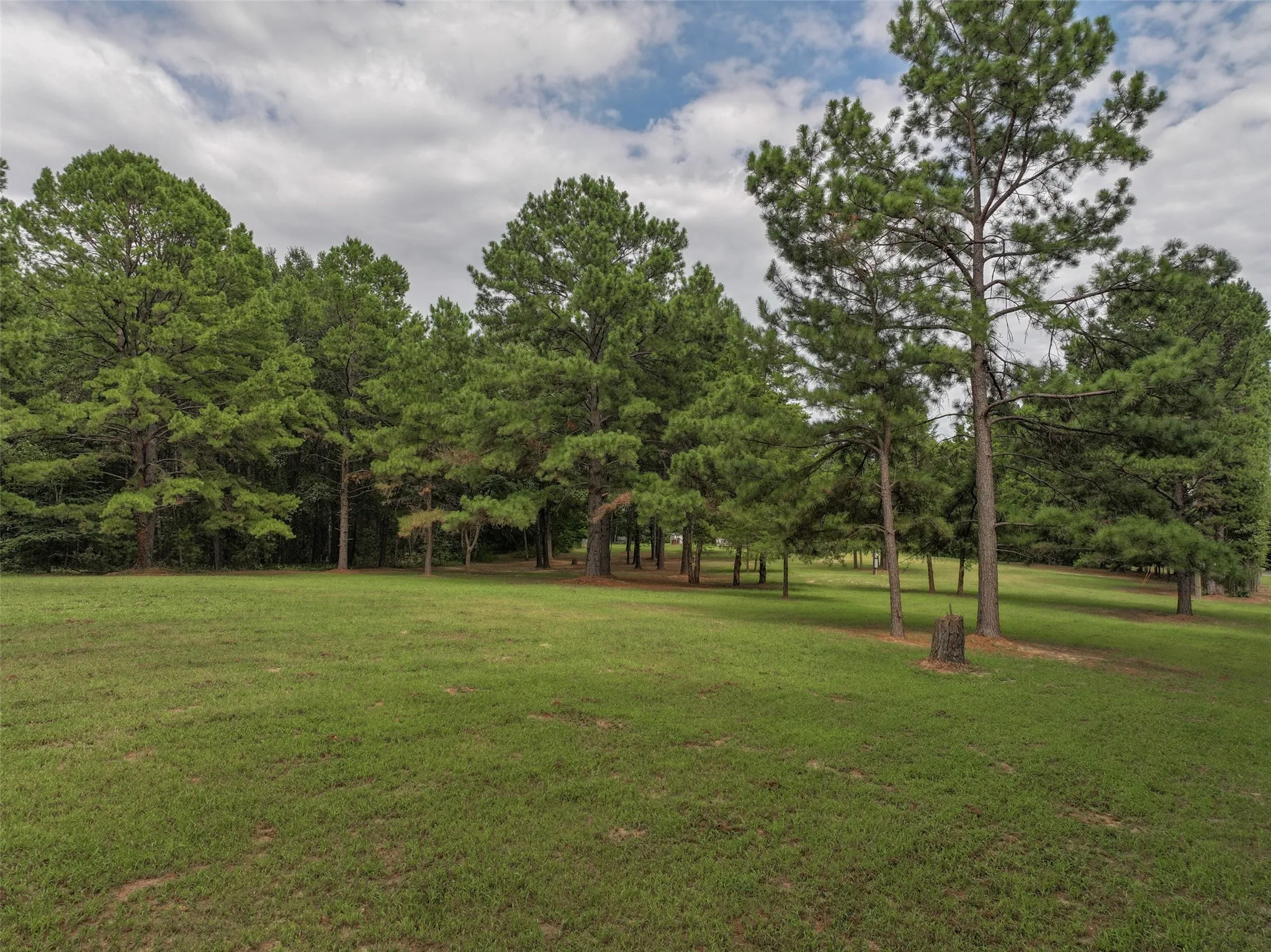 Improved Land For Sale in Bowie County , 127 S County Road 1001, New Boston, Texas 75570, 0, 0, Garage spaces, 0 Sqft, built in 0, mls#21344225, Real Estate Agent in New Boston, Homes For Sale in Bowie county, Homes For Sale in New Boston, Realtor in New Boston Texas, Real Estate Brokerage Independent Realty Texas, Luminita Cordes Realtor