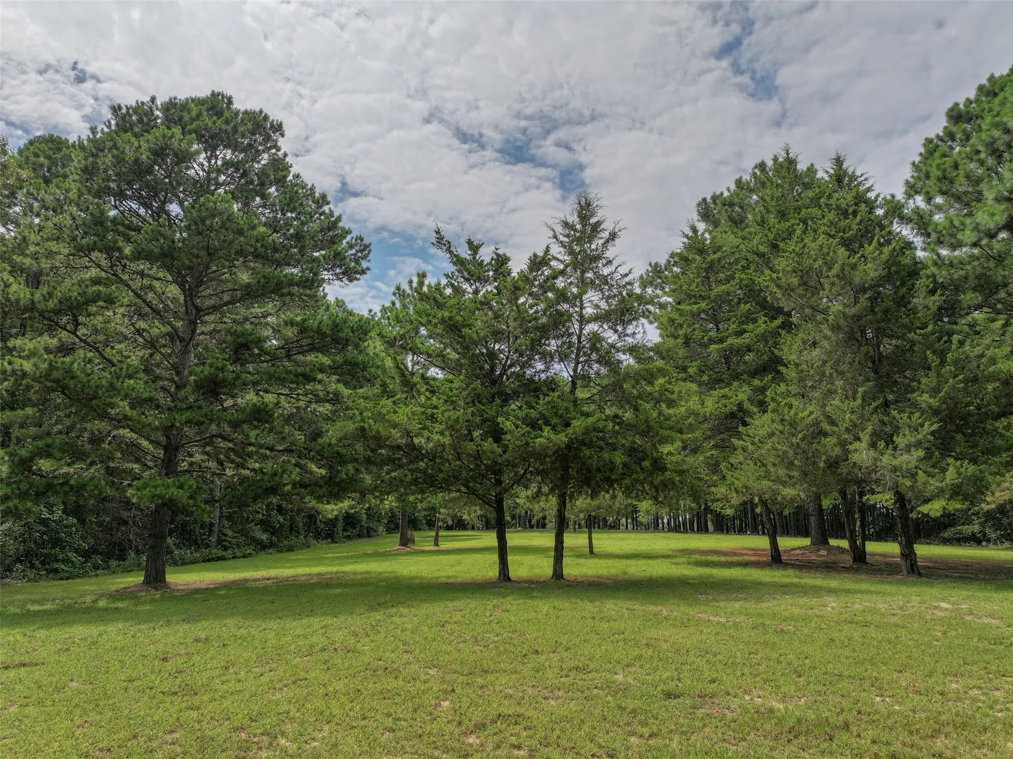 Improved Land For Sale in Bowie County , 127 S County Road 1001, New Boston, Texas 75570, 0, 0, Garage spaces, 0 Sqft, built in 0, mls#21344225, Real Estate Agent in New Boston, Homes For Sale in Bowie county, Homes For Sale in New Boston, Realtor in New Boston Texas, Real Estate Brokerage Independent Realty Texas, Luminita Cordes Realtor