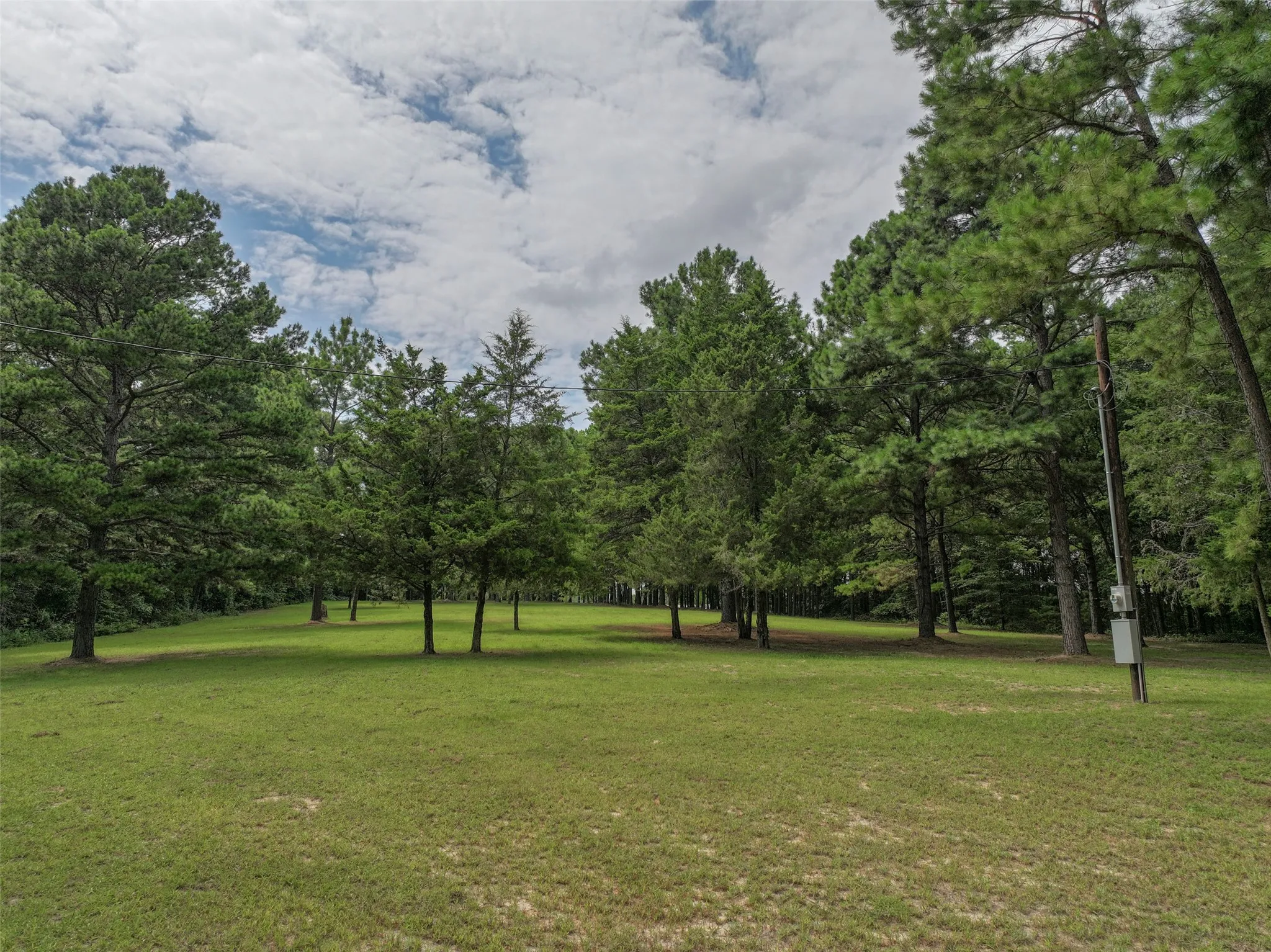 Improved Land For Sale in Bowie County , 127 S County Road 1001, New Boston, Texas 75570, 0, 0, Garage spaces, 0 Sqft, built in 0, mls#21344225, Real Estate Agent in New Boston, Homes For Sale in Bowie county, Homes For Sale in New Boston, Realtor in New Boston Texas, Real Estate Brokerage Independent Realty Texas, Luminita Cordes Realtor