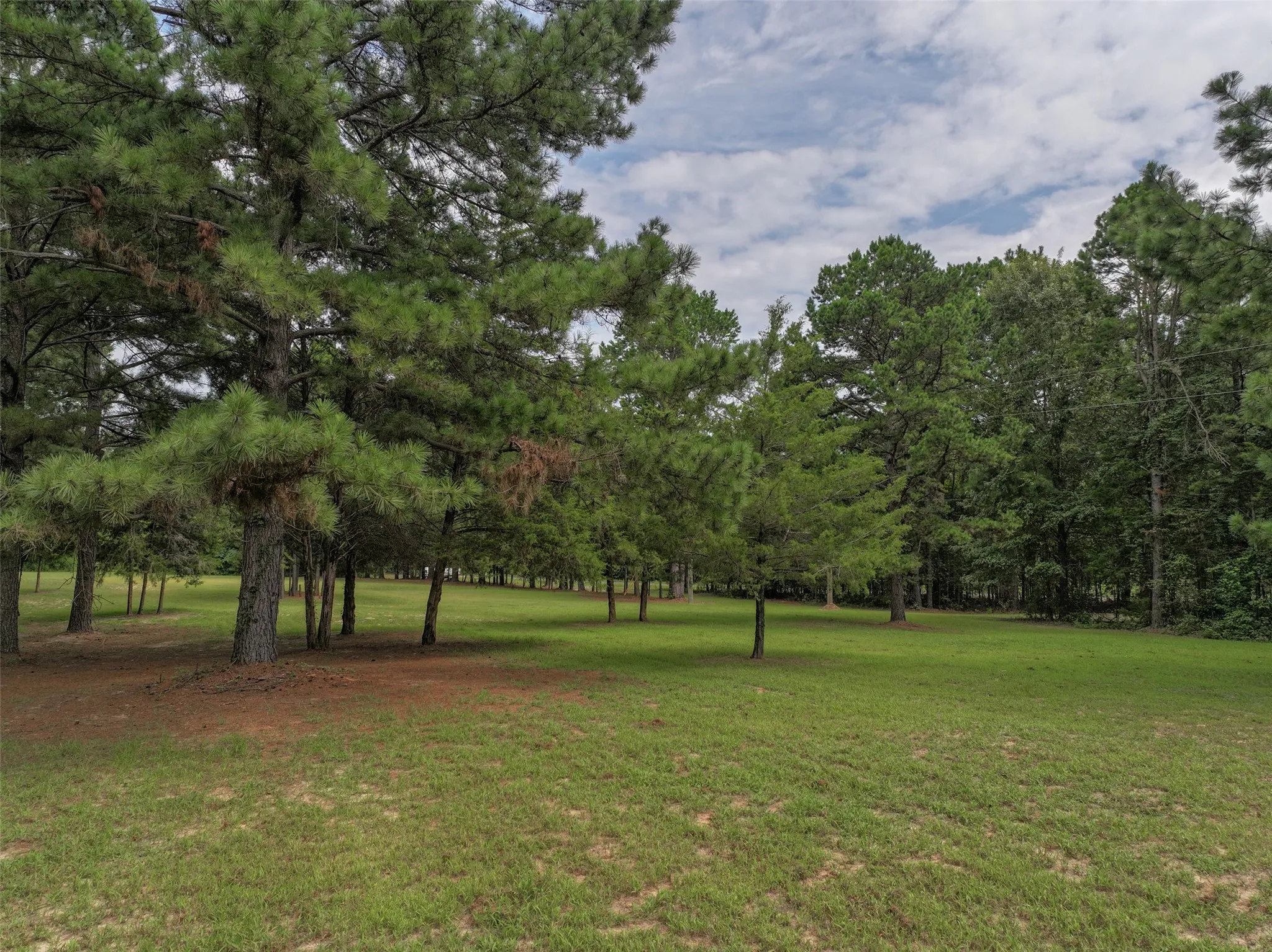 Improved Land For Sale in Bowie County , 127 S County Road 1001, New Boston, Texas 75570, 0, 0, Garage spaces, 0 Sqft, built in 0, mls#21344225, Real Estate Agent in New Boston, Homes For Sale in Bowie county, Homes For Sale in New Boston, Realtor in New Boston Texas, Real Estate Brokerage Independent Realty Texas, Luminita Cordes Realtor