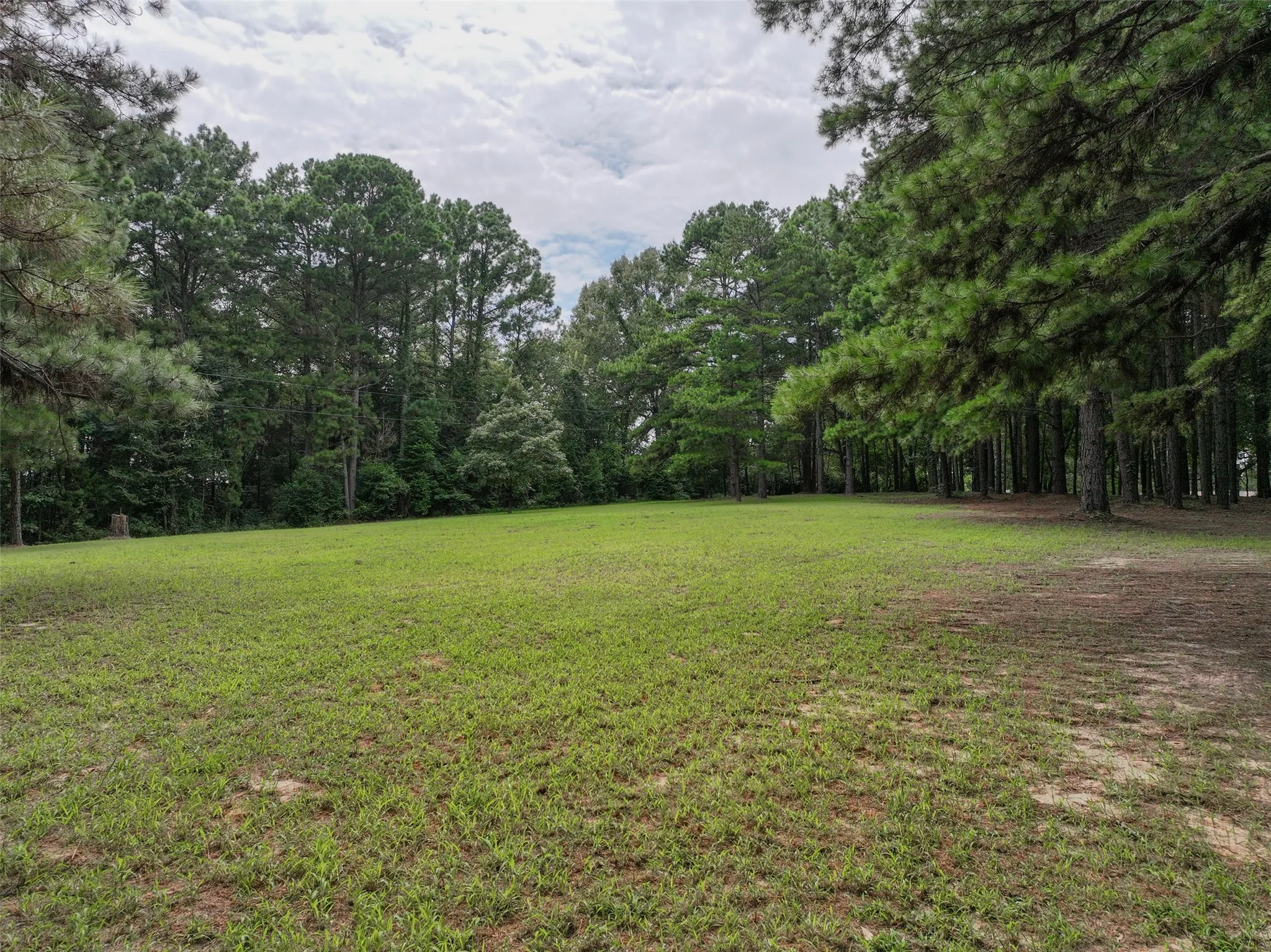 Improved Land For Sale in Bowie County , 127 S County Road 1001, New Boston, Texas 75570, 0, 0, Garage spaces, 0 Sqft, built in 0, mls#21344225, Real Estate Agent in New Boston, Homes For Sale in Bowie county, Homes For Sale in New Boston, Realtor in New Boston Texas, Real Estate Brokerage Independent Realty Texas, Luminita Cordes Realtor