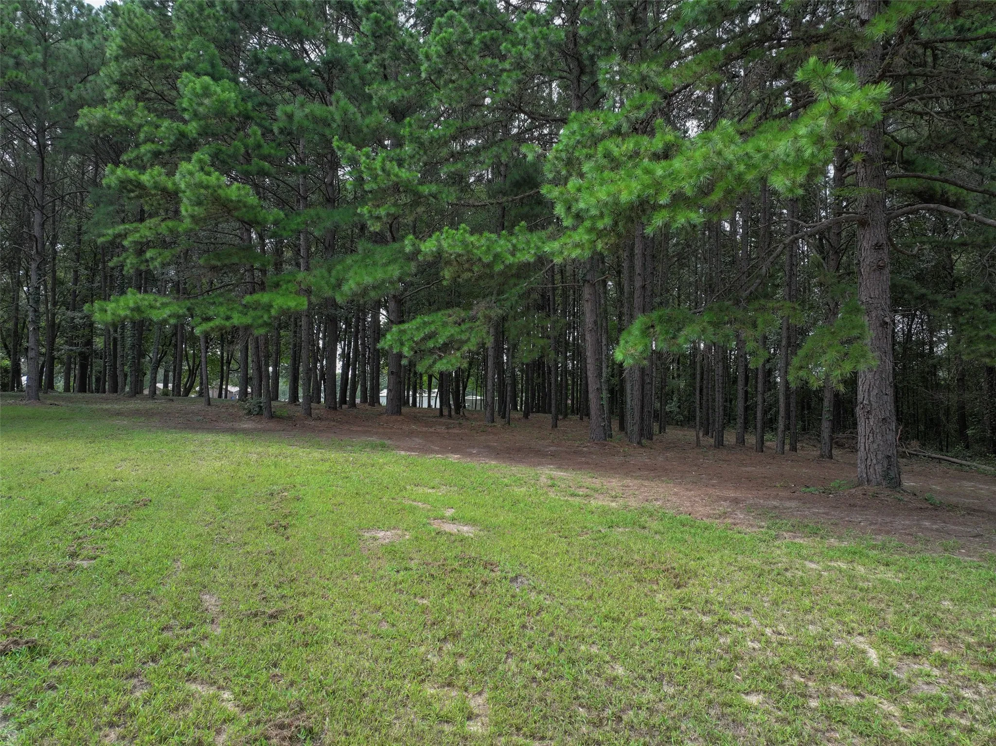 Improved Land For Sale in Bowie County , 127 S County Road 1001, New Boston, Texas 75570, 0, 0, Garage spaces, 0 Sqft, built in 0, mls#21344225, Real Estate Agent in New Boston, Homes For Sale in Bowie county, Homes For Sale in New Boston, Realtor in New Boston Texas, Real Estate Brokerage Independent Realty Texas, Luminita Cordes Realtor