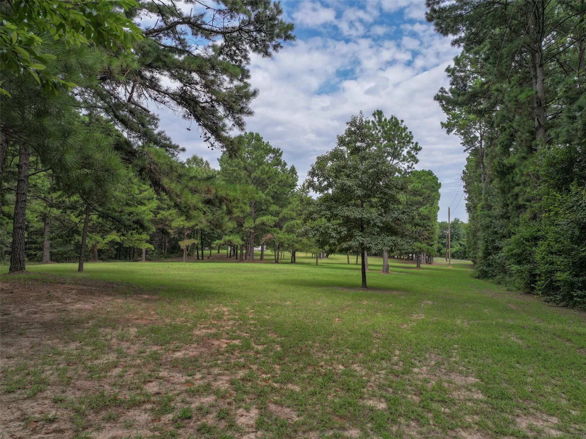 Improved Land For Sale in Bowie County , 127 S County Road 1001, New Boston, Texas 75570, 0, 0, Garage spaces, 0 Sqft, built in 0, mls#21344225, Real Estate Agent in New Boston, Homes For Sale in Bowie county, Homes For Sale in New Boston, Realtor in New Boston Texas, Real Estate Brokerage Independent Realty Texas, Luminita Cordes Realtor