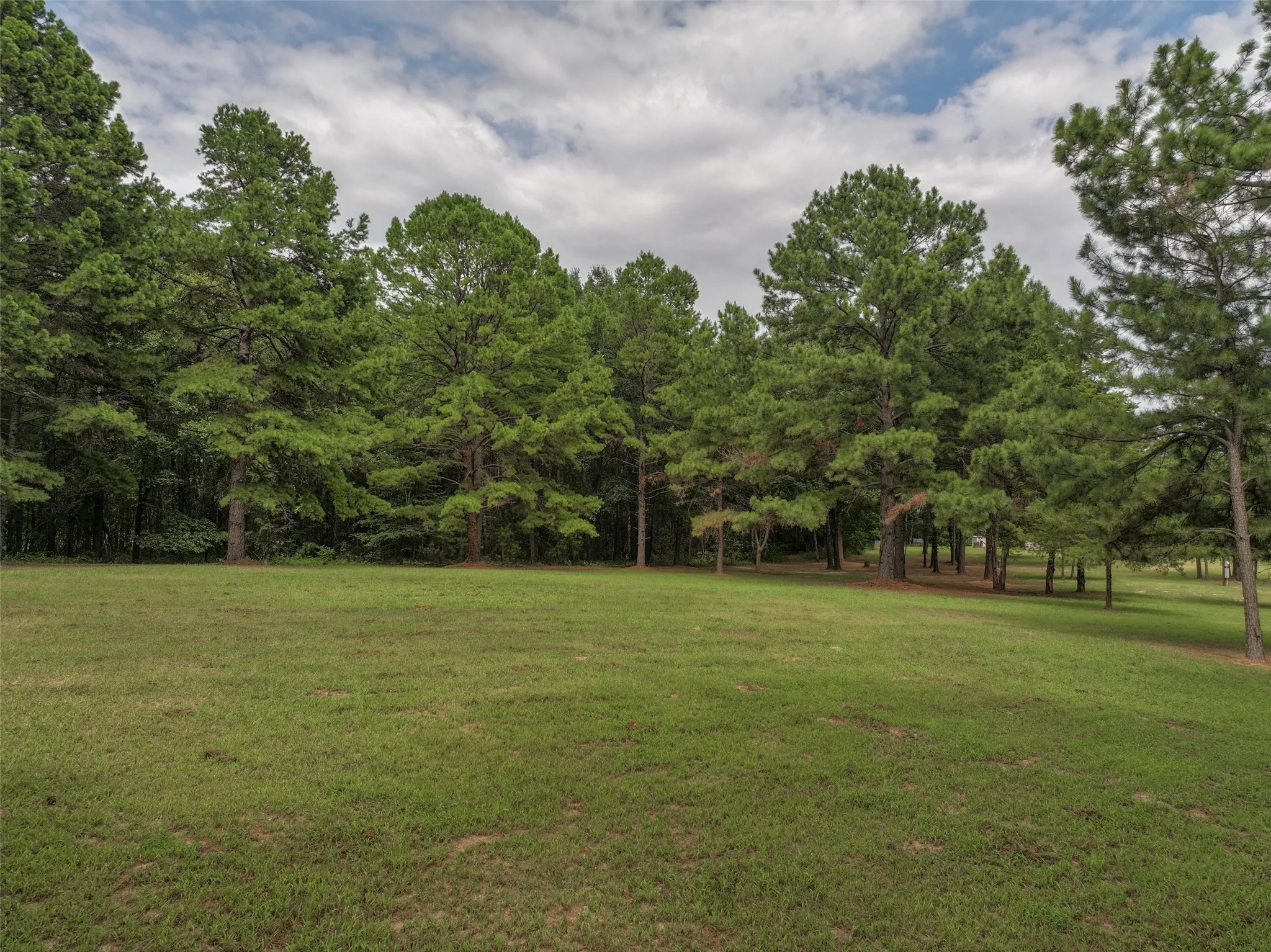 Improved Land For Sale in Bowie County , 127 S County Road 1001, New Boston, Texas 75570, 0, 0, Garage spaces, 0 Sqft, built in 0, mls#21344225, Real Estate Agent in New Boston, Homes For Sale in Bowie county, Homes For Sale in New Boston, Realtor in New Boston Texas, Real Estate Brokerage Independent Realty Texas, Luminita Cordes Realtor