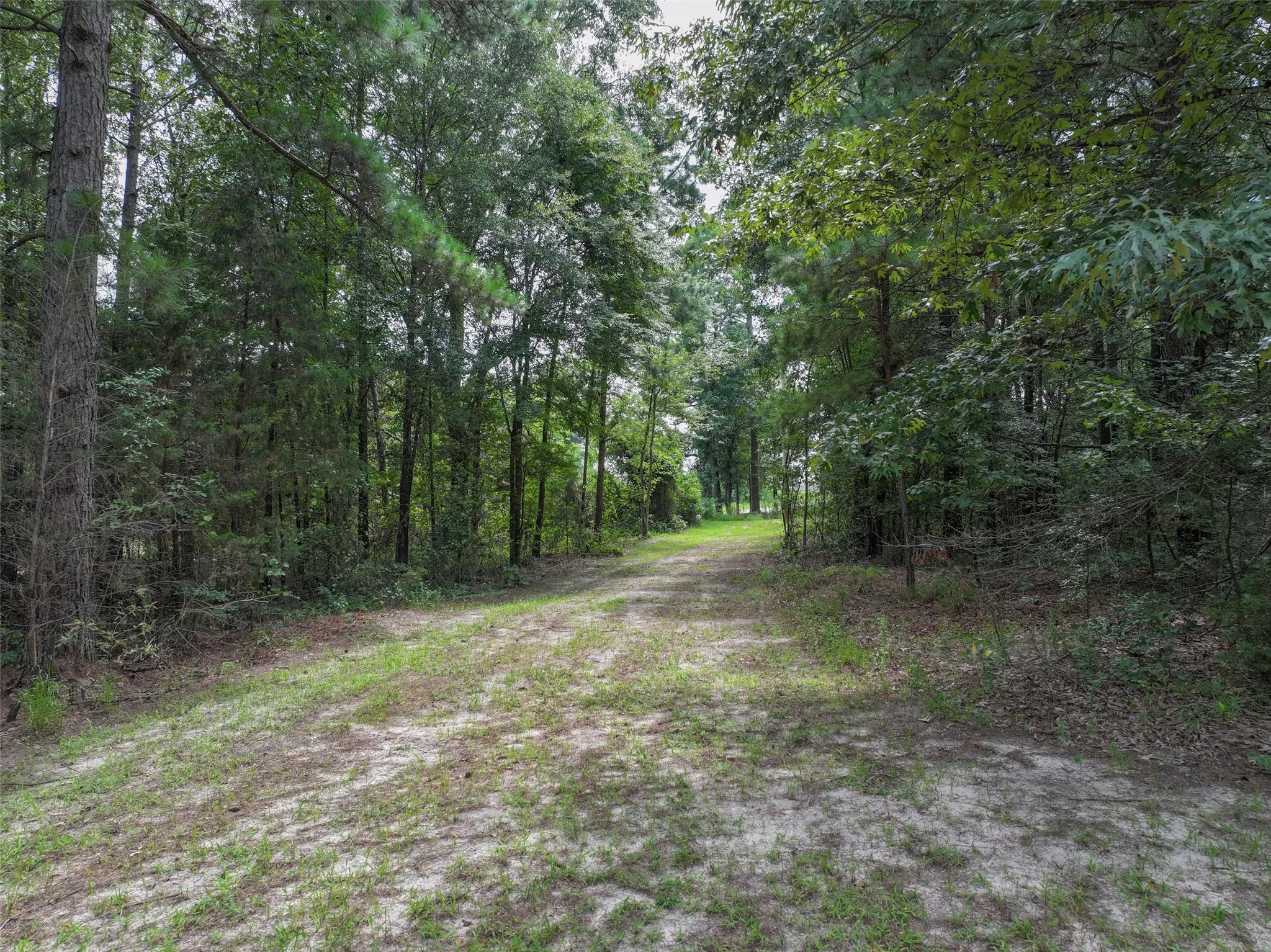 Improved Land For Sale in Bowie County , 127 S County Road 1001, New Boston, Texas 75570, 0, 0, Garage spaces, 0 Sqft, built in 0, mls#21344225, Real Estate Agent in New Boston, Homes For Sale in Bowie county, Homes For Sale in New Boston, Realtor in New Boston Texas, Real Estate Brokerage Independent Realty Texas, Luminita Cordes Realtor