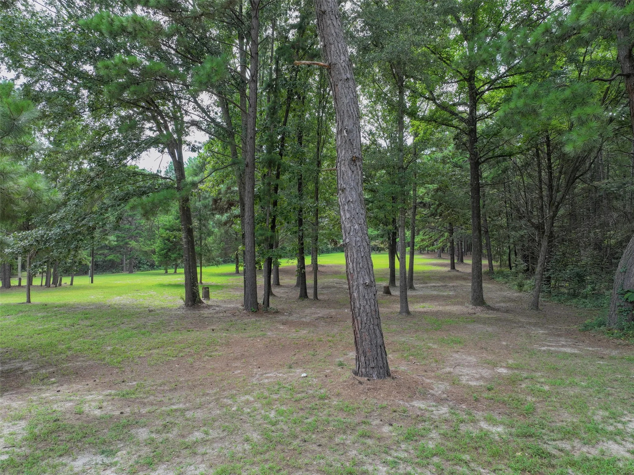 Improved Land For Sale in Bowie County , 127 S County Road 1001, New Boston, Texas 75570, 0, 0, Garage spaces, 0 Sqft, built in 0, mls#21344225, Real Estate Agent in New Boston, Homes For Sale in Bowie county, Homes For Sale in New Boston, Realtor in New Boston Texas, Real Estate Brokerage Independent Realty Texas, Luminita Cordes Realtor