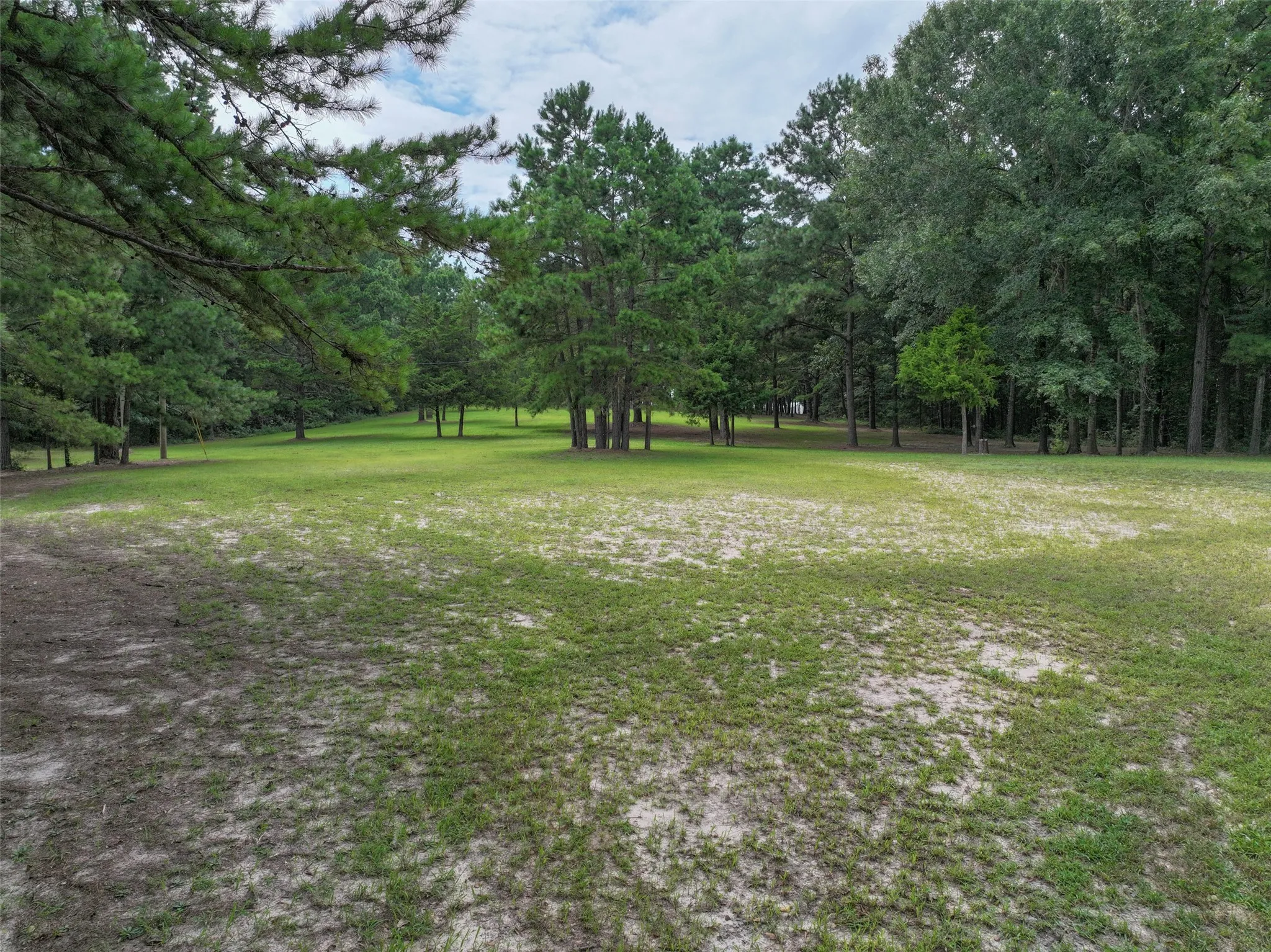 Improved Land For Sale in Bowie County , 127 S County Road 1001, New Boston, Texas 75570, 0, 0, Garage spaces, 0 Sqft, built in 0, mls#21344225, Real Estate Agent in New Boston, Homes For Sale in Bowie county, Homes For Sale in New Boston, Realtor in New Boston Texas, Real Estate Brokerage Independent Realty Texas, Luminita Cordes Realtor