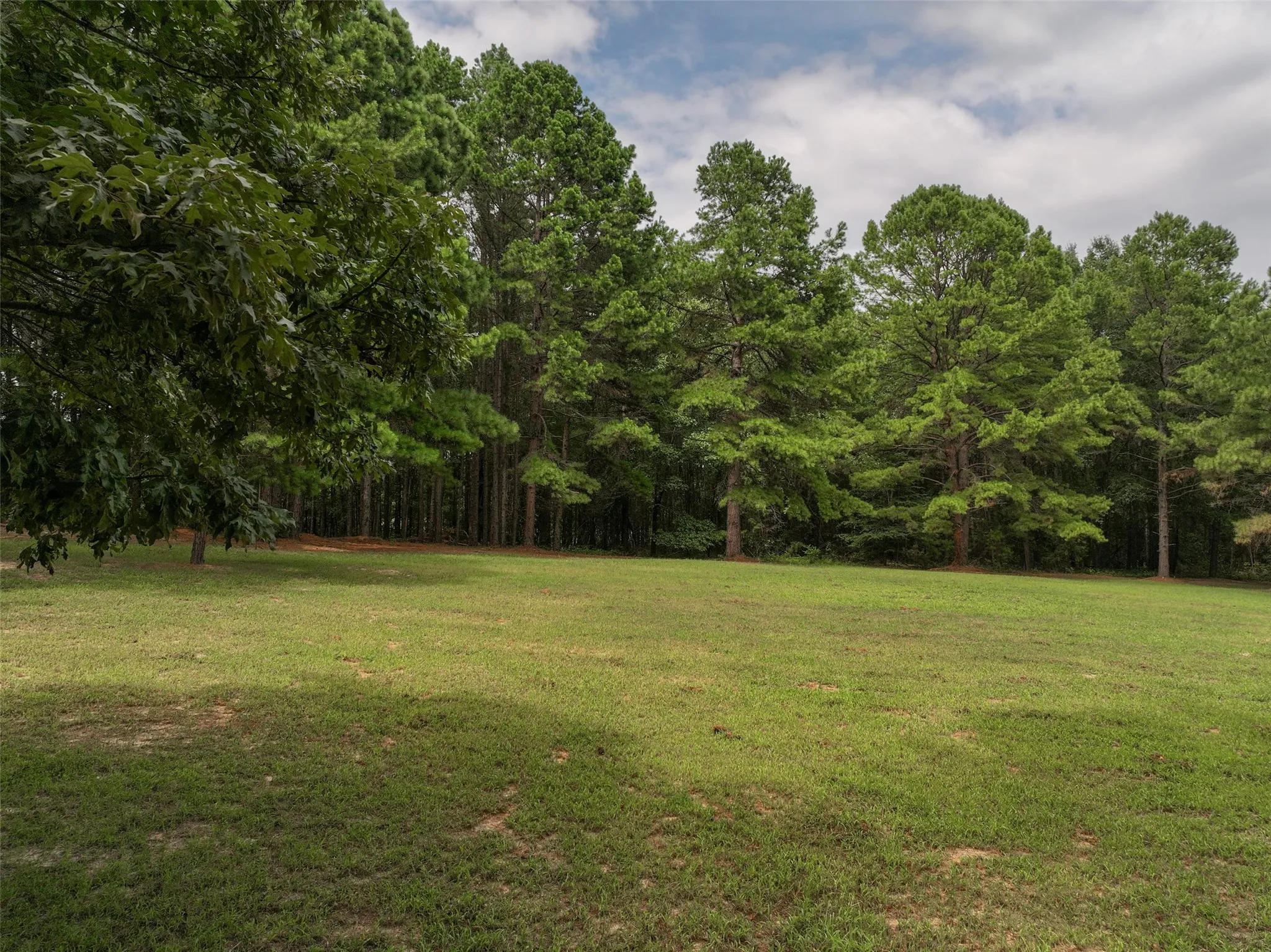 Improved Land For Sale in Bowie County , 127 S County Road 1001, New Boston, Texas 75570, 0, 0, Garage spaces, 0 Sqft, built in 0, mls#21344225, Real Estate Agent in New Boston, Homes For Sale in Bowie county, Homes For Sale in New Boston, Realtor in New Boston Texas, Real Estate Brokerage Independent Realty Texas, Luminita Cordes Realtor