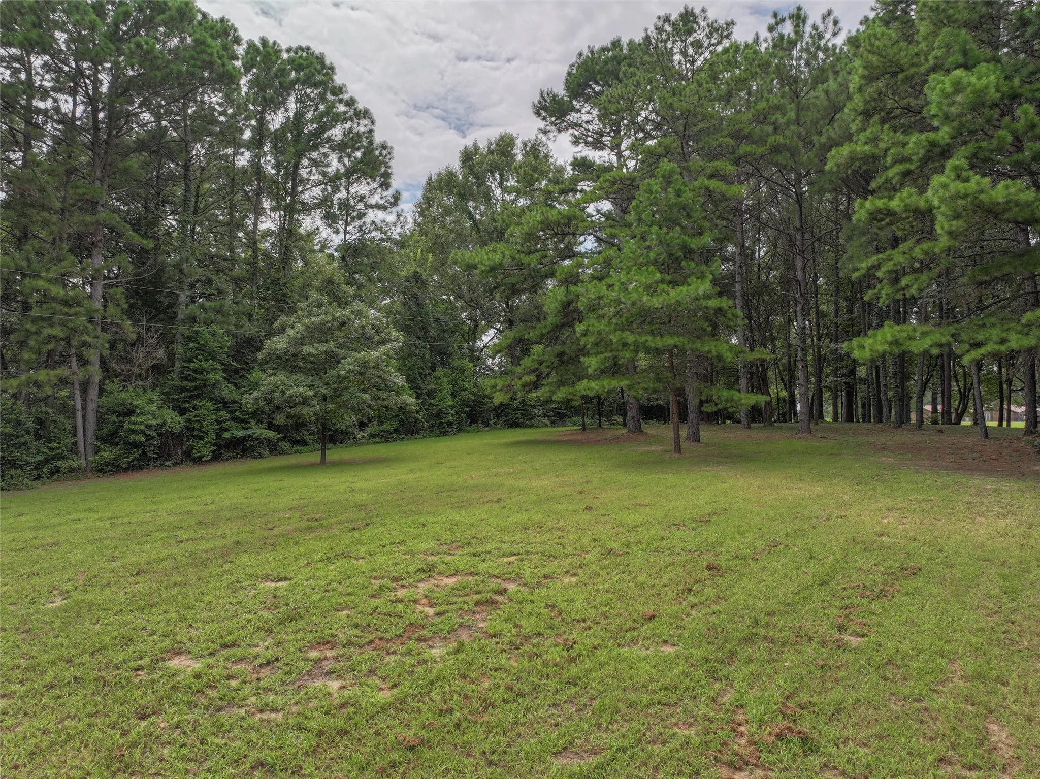 Improved Land For Sale in Bowie County , 127 S County Road 1001, New Boston, Texas 75570, 0, 0, Garage spaces, 0 Sqft, built in 0, mls#21344225, Real Estate Agent in New Boston, Homes For Sale in Bowie county, Homes For Sale in New Boston, Realtor in New Boston Texas, Real Estate Brokerage Independent Realty Texas, Luminita Cordes Realtor