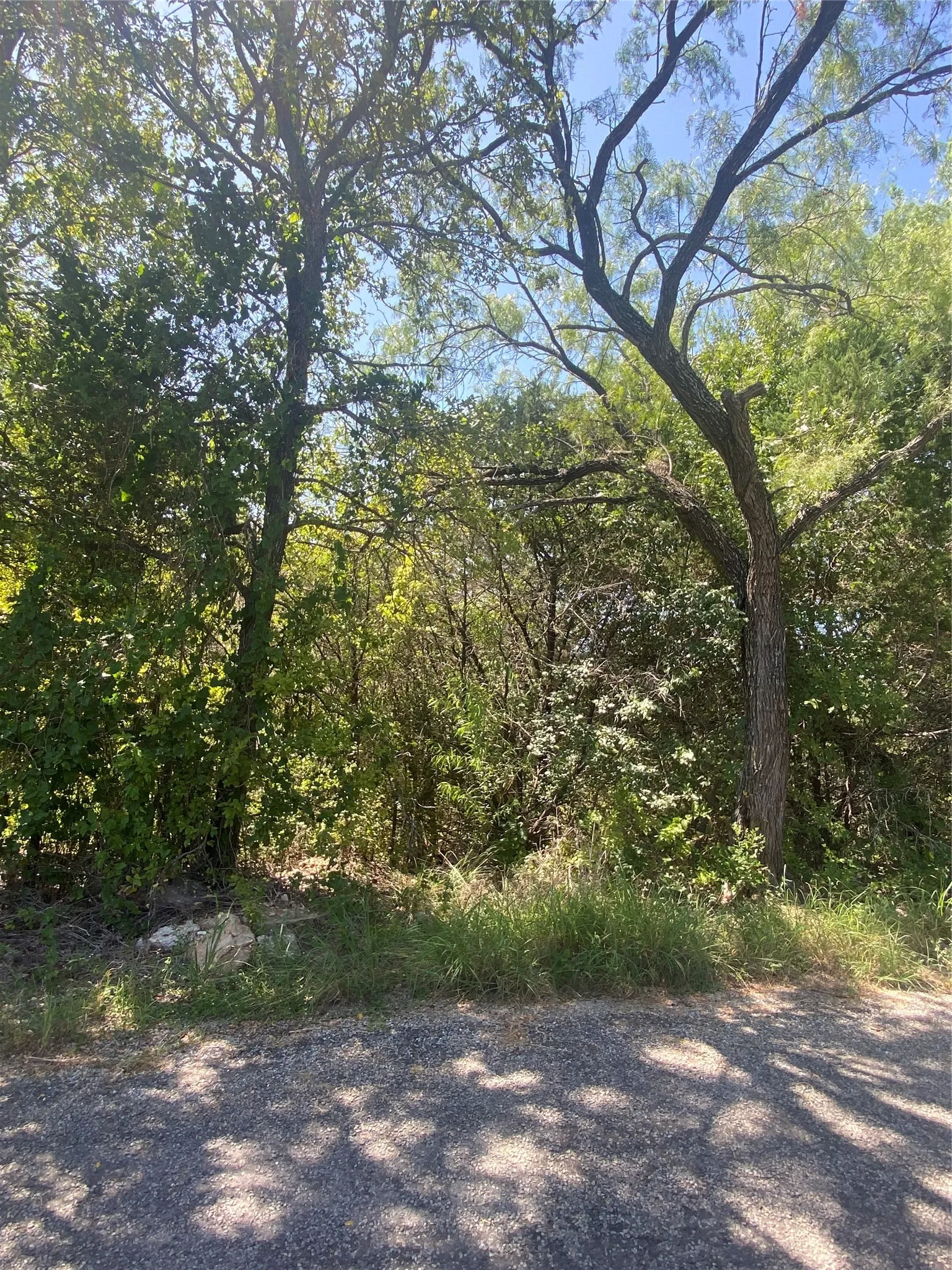 Unimproved Land For Sale in Hood County , 3401 Frontier Trail, Granbury, Texas 76048, 0, 0, Garage spaces, 0 Sqft, built in 0, mls#21344229, Real Estate Agent in Granbury, Homes For Sale in Hood county, Homes For Sale in Granbury, Realtor in Granbury Texas, Real Estate Brokerage Independent Realty Texas, Luminita Cordes Realtor