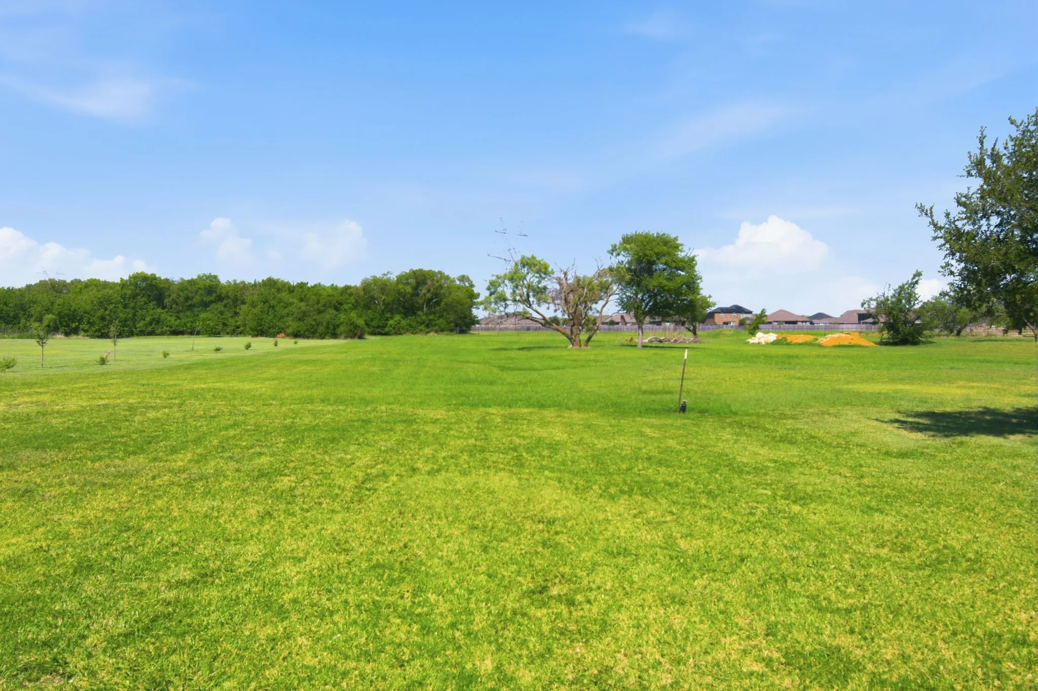 Beautiful acreage, not fenced!