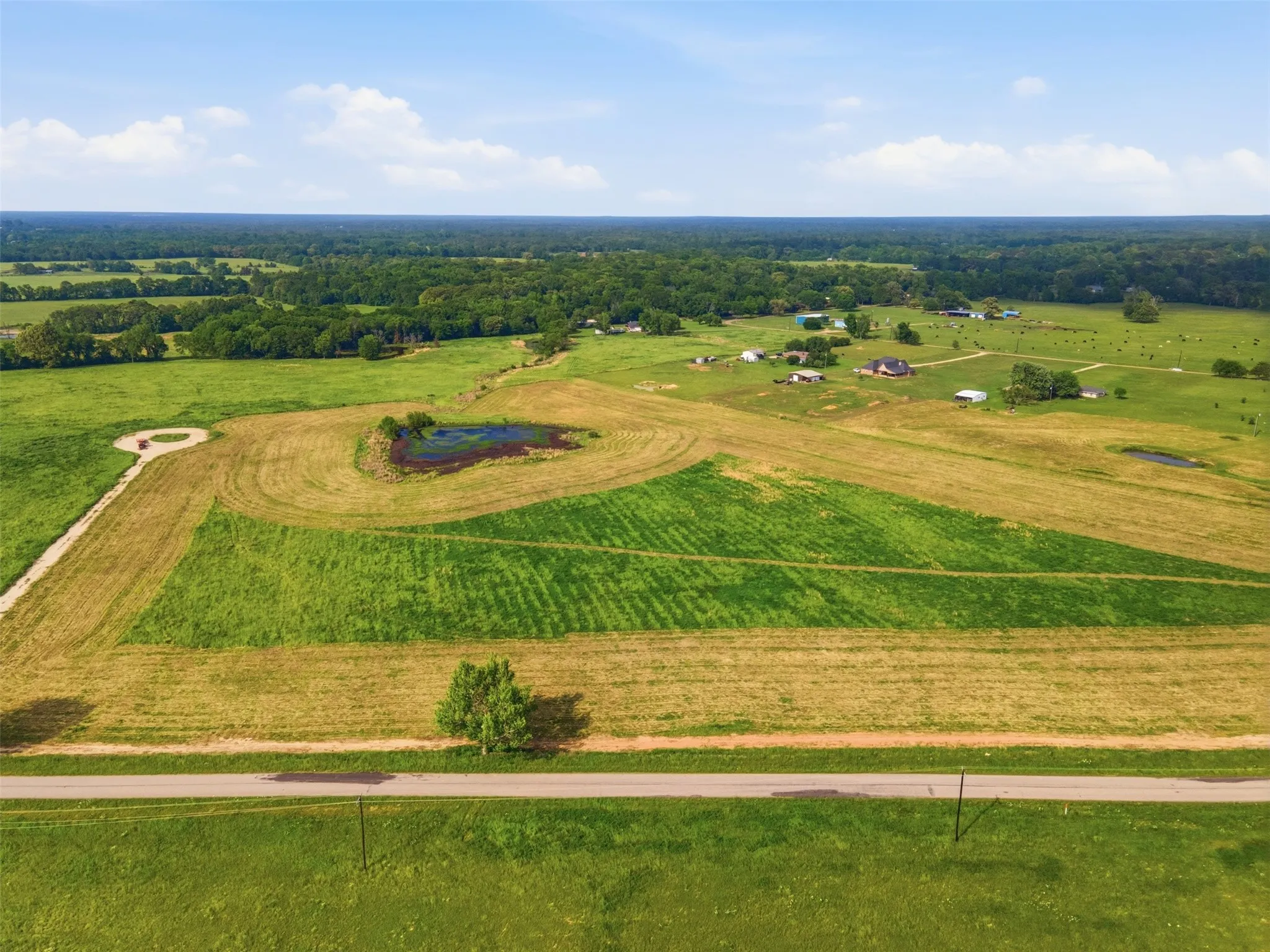 Improved Land For Sale in Titus County , TBD CR 1200, Mt Pleasant, Texas 75455, 0, 0, Garage spaces, 0 Sqft, built in 0, mls#21344282, Real Estate Agent in Mt Pleasant, Homes For Sale in Titus county, Homes For Sale in Mt Pleasant, Realtor in Mt Pleasant Texas, Real Estate Brokerage Independent Realty Texas, Luminita Cordes Realtor