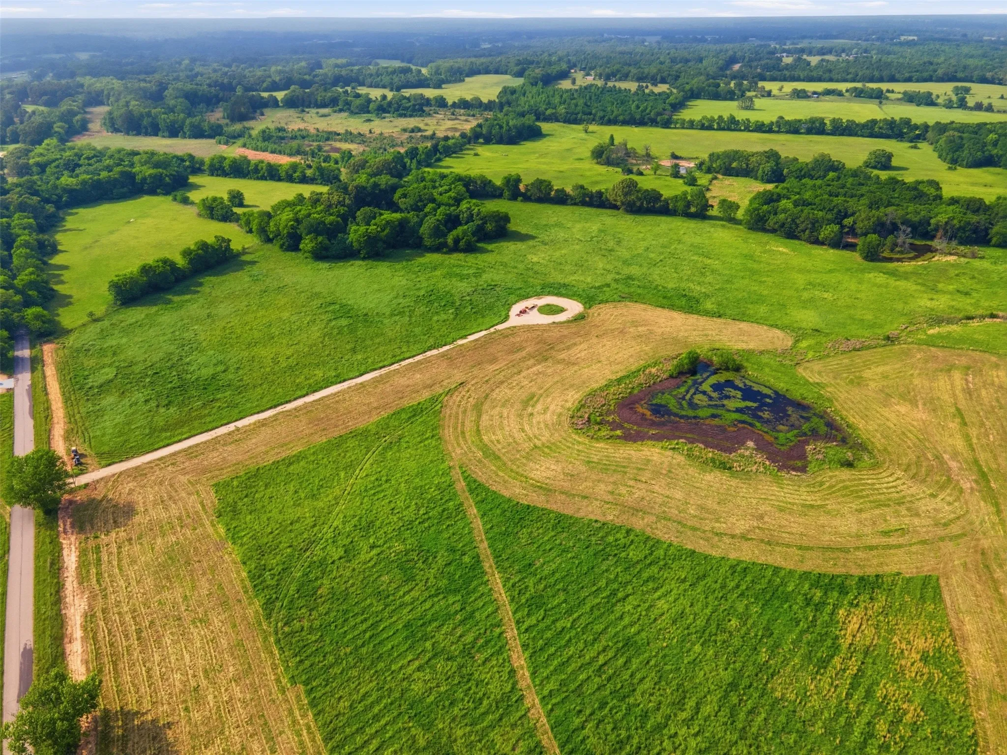 Improved Land For Sale in Titus County , TBD CR 1200, Mt Pleasant, Texas 75455, 0, 0, Garage spaces, 0 Sqft, built in 0, mls#21344282, Real Estate Agent in Mt Pleasant, Homes For Sale in Titus county, Homes For Sale in Mt Pleasant, Realtor in Mt Pleasant Texas, Real Estate Brokerage Independent Realty Texas, Luminita Cordes Realtor