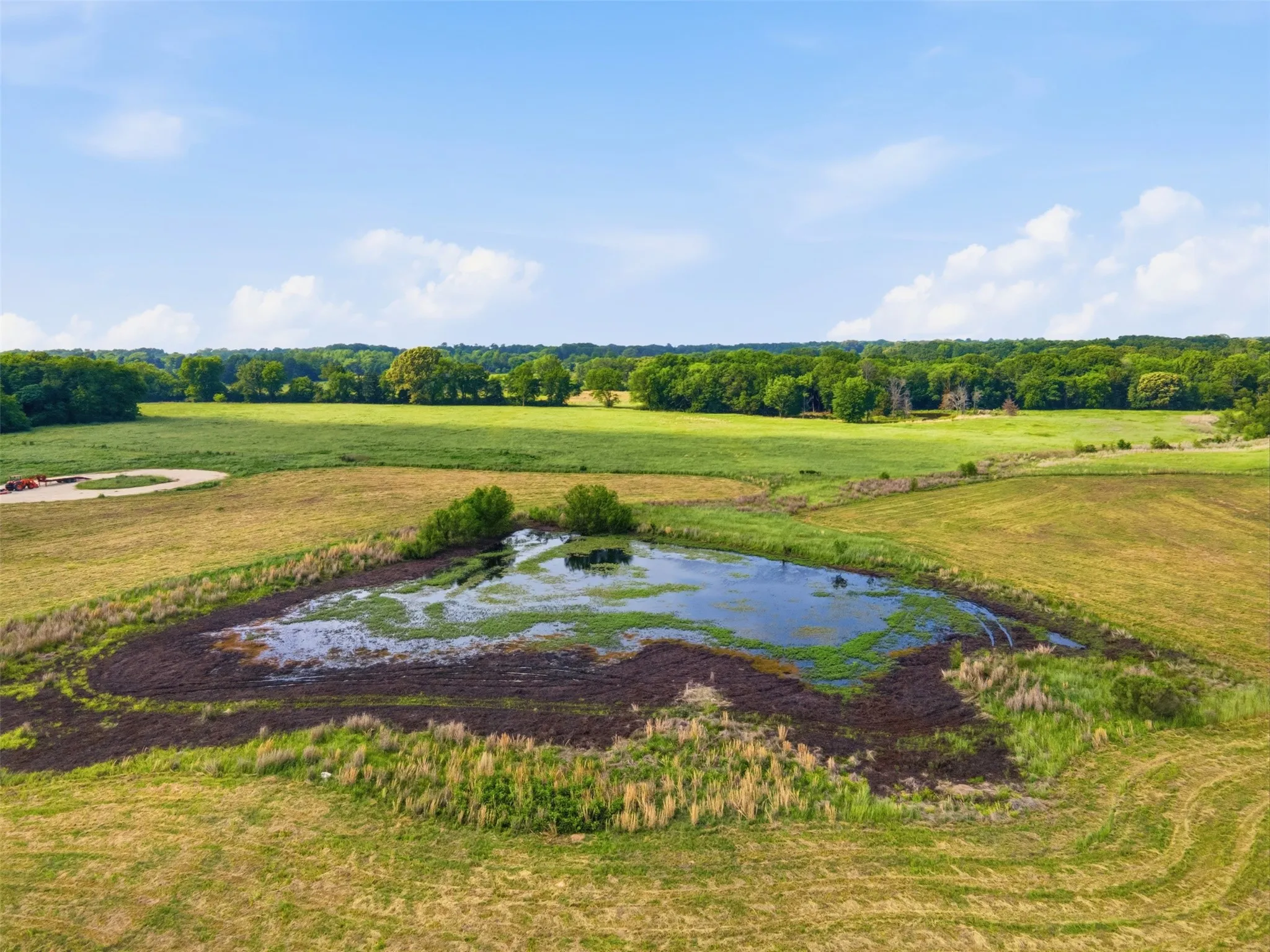Improved Land For Sale in Titus County , TBD CR 1200, Mt Pleasant, Texas 75455, 0, 0, Garage spaces, 0 Sqft, built in 0, mls#21344282, Real Estate Agent in Mt Pleasant, Homes For Sale in Titus county, Homes For Sale in Mt Pleasant, Realtor in Mt Pleasant Texas, Real Estate Brokerage Independent Realty Texas, Luminita Cordes Realtor