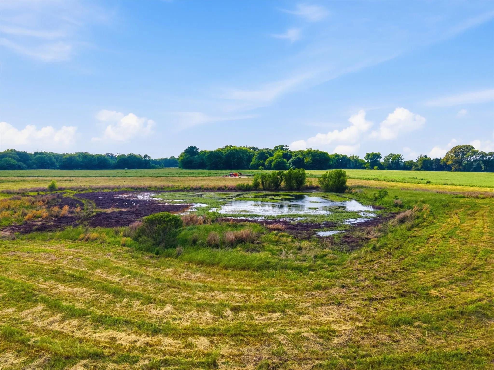 Improved Land For Sale in Titus County , TBD CR 1200, Mt Pleasant, Texas 75455, 0, 0, Garage spaces, 0 Sqft, built in 0, mls#21344282, Real Estate Agent in Mt Pleasant, Homes For Sale in Titus county, Homes For Sale in Mt Pleasant, Realtor in Mt Pleasant Texas, Real Estate Brokerage Independent Realty Texas, Luminita Cordes Realtor
