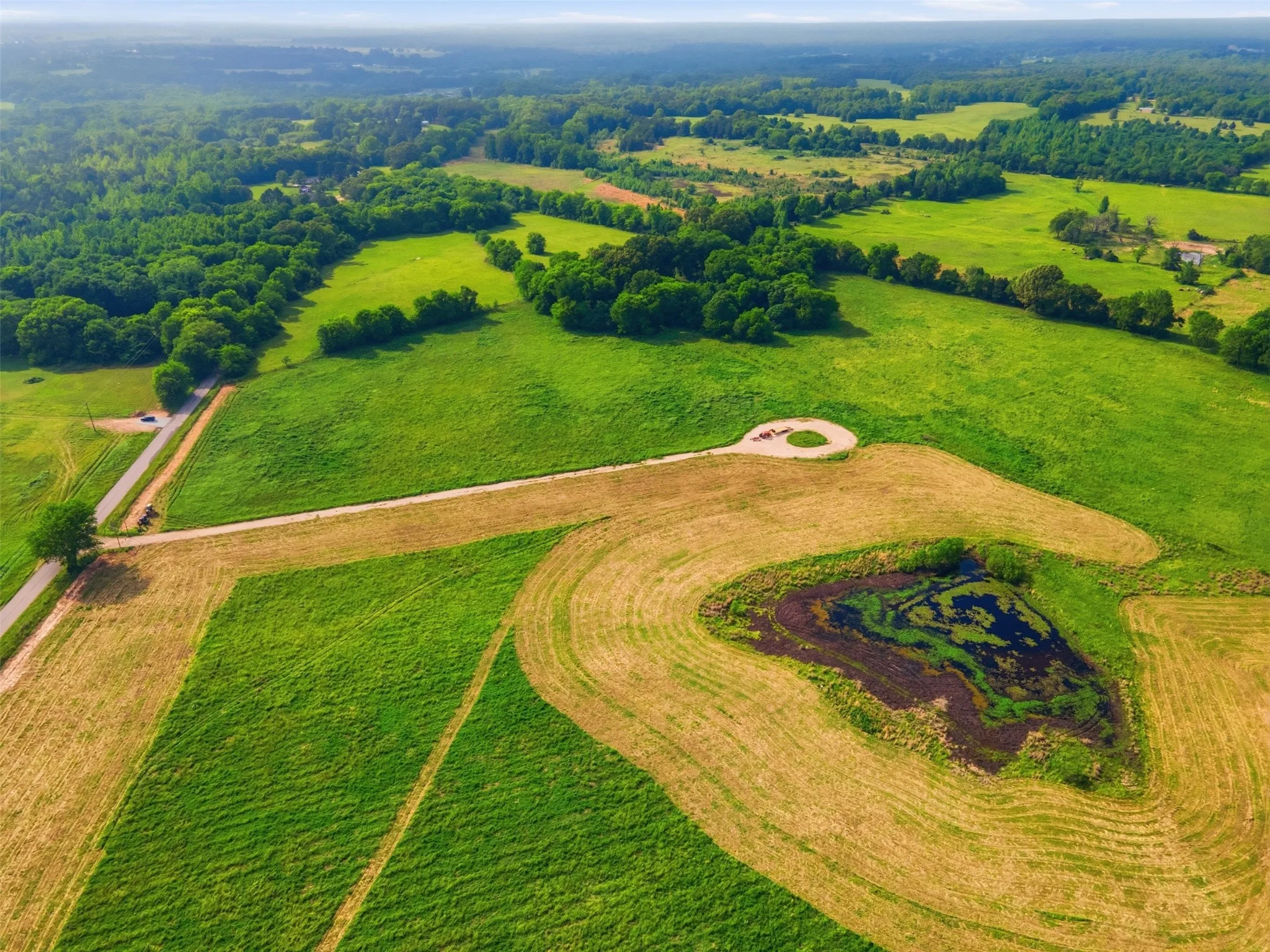 Improved Land For Sale in Titus County , TBD CR 1200, Mt Pleasant, Texas 75455, 0, 0, Garage spaces, 0 Sqft, built in 0, mls#21344282, Real Estate Agent in Mt Pleasant, Homes For Sale in Titus county, Homes For Sale in Mt Pleasant, Realtor in Mt Pleasant Texas, Real Estate Brokerage Independent Realty Texas, Luminita Cordes Realtor
