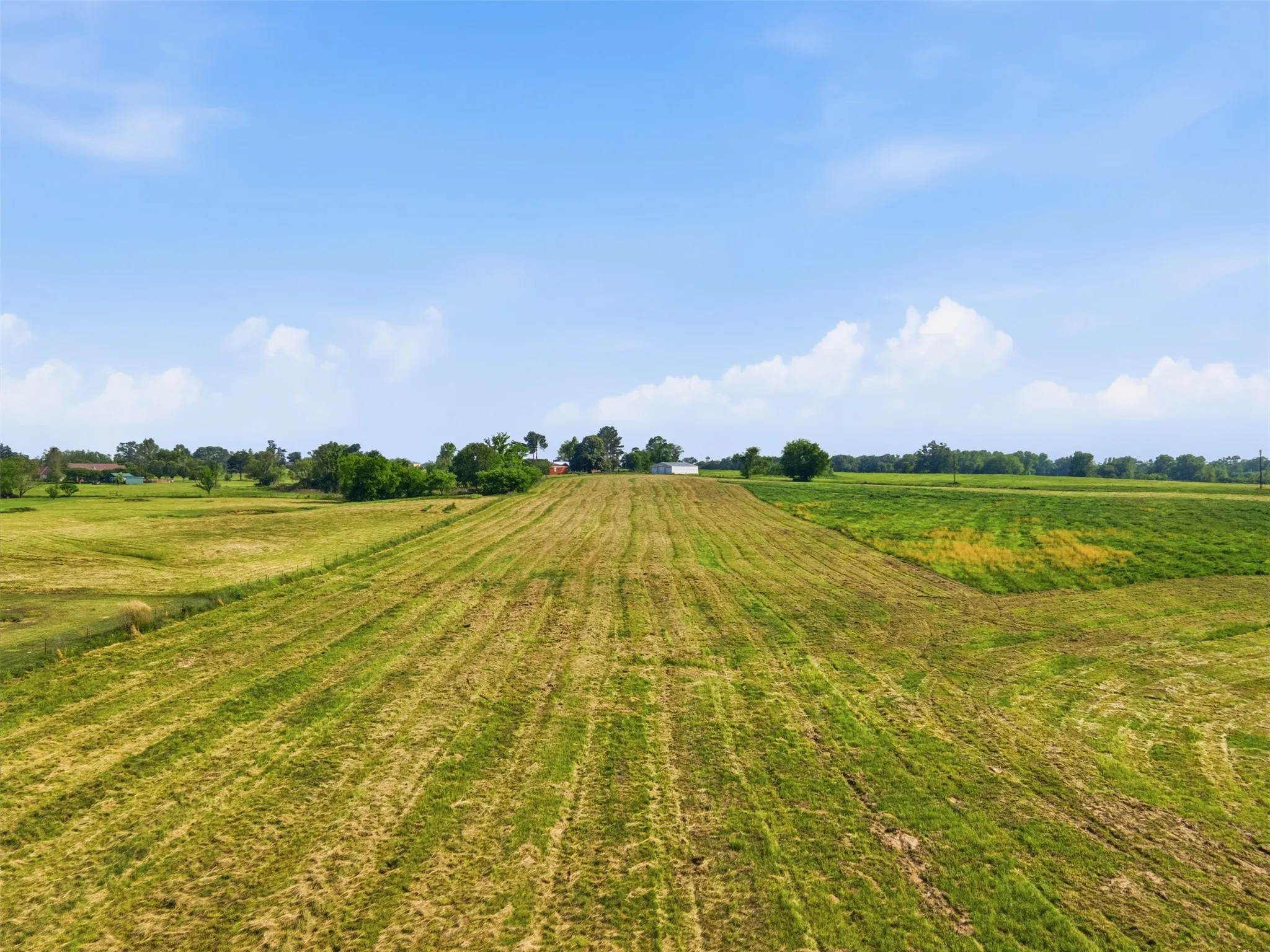 Improved Land For Sale in Titus County , TBD CR 1200, Mt Pleasant, Texas 75455, 0, 0, Garage spaces, 0 Sqft, built in 0, mls#21344282, Real Estate Agent in Mt Pleasant, Homes For Sale in Titus county, Homes For Sale in Mt Pleasant, Realtor in Mt Pleasant Texas, Real Estate Brokerage Independent Realty Texas, Luminita Cordes Realtor