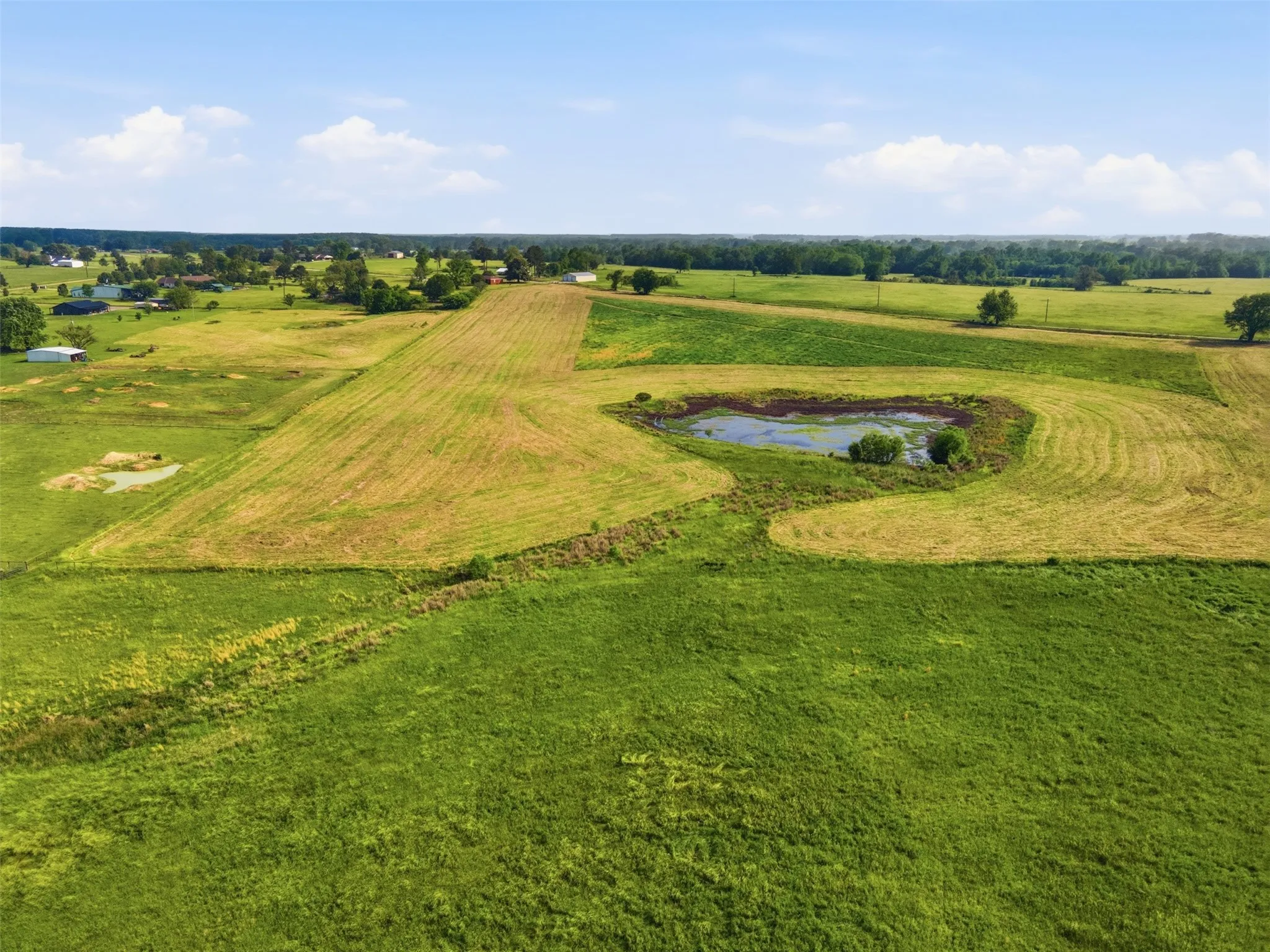Improved Land For Sale in Titus County , TBD CR 1200, Mt Pleasant, Texas 75455, 0, 0, Garage spaces, 0 Sqft, built in 0, mls#21344282, Real Estate Agent in Mt Pleasant, Homes For Sale in Titus county, Homes For Sale in Mt Pleasant, Realtor in Mt Pleasant Texas, Real Estate Brokerage Independent Realty Texas, Luminita Cordes Realtor