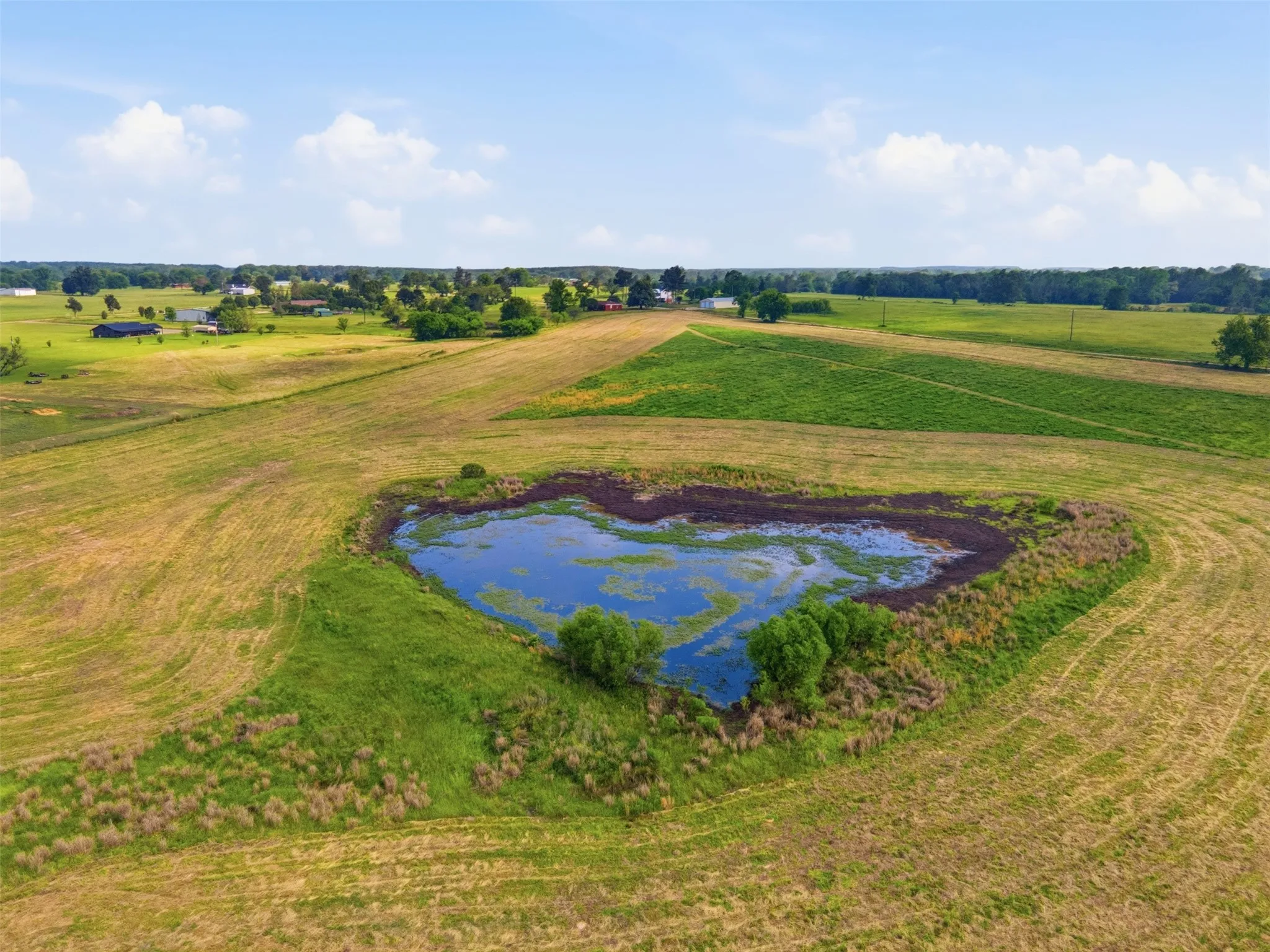 Improved Land For Sale in Titus County , TBD CR 1200, Mt Pleasant, Texas 75455, 0, 0, Garage spaces, 0 Sqft, built in 0, mls#21344282, Real Estate Agent in Mt Pleasant, Homes For Sale in Titus county, Homes For Sale in Mt Pleasant, Realtor in Mt Pleasant Texas, Real Estate Brokerage Independent Realty Texas, Luminita Cordes Realtor