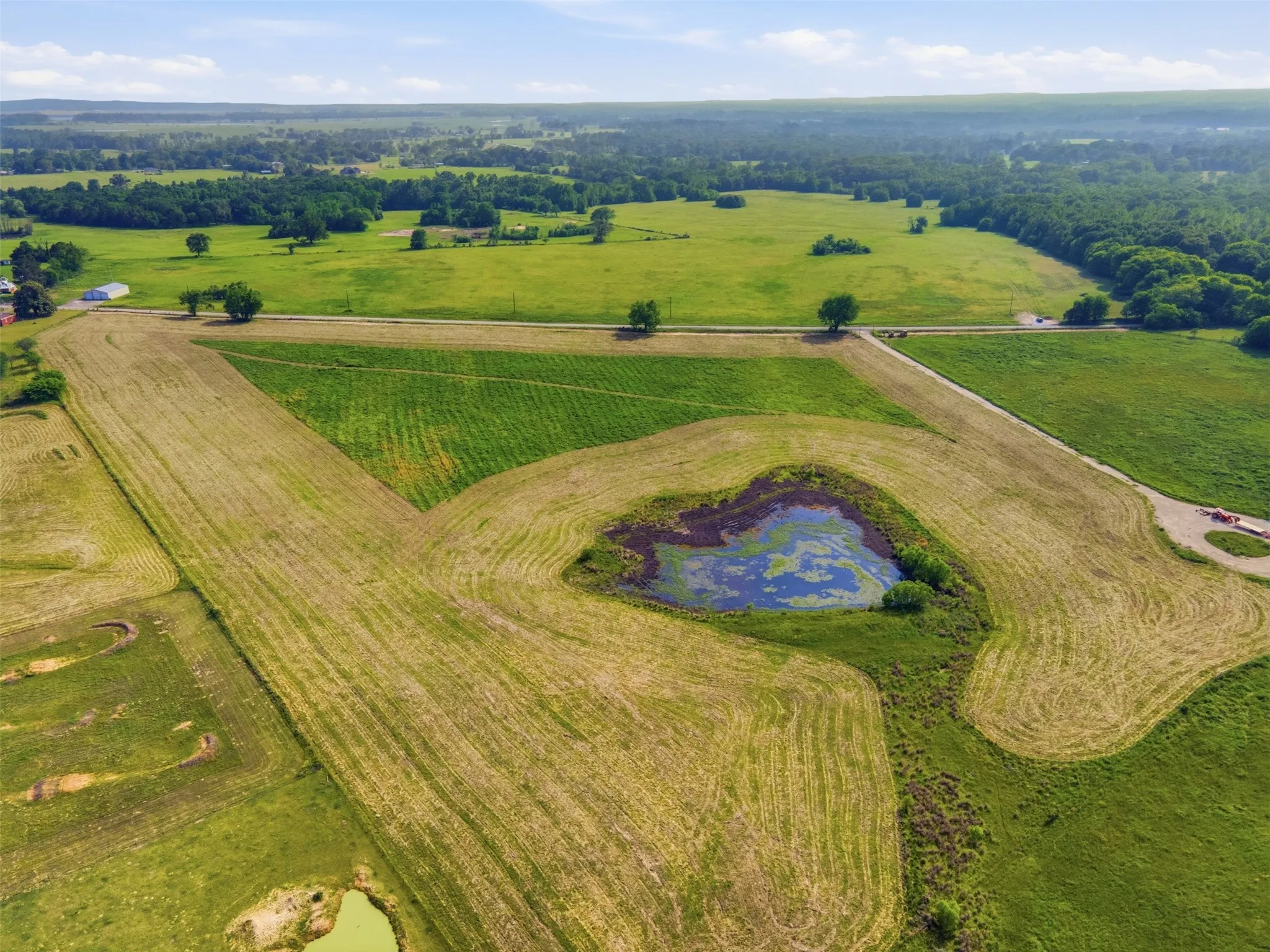 Improved Land For Sale in Titus County , TBD CR 1200, Mt Pleasant, Texas 75455, 0, 0, Garage spaces, 0 Sqft, built in 0, mls#21344282, Real Estate Agent in Mt Pleasant, Homes For Sale in Titus county, Homes For Sale in Mt Pleasant, Realtor in Mt Pleasant Texas, Real Estate Brokerage Independent Realty Texas, Luminita Cordes Realtor