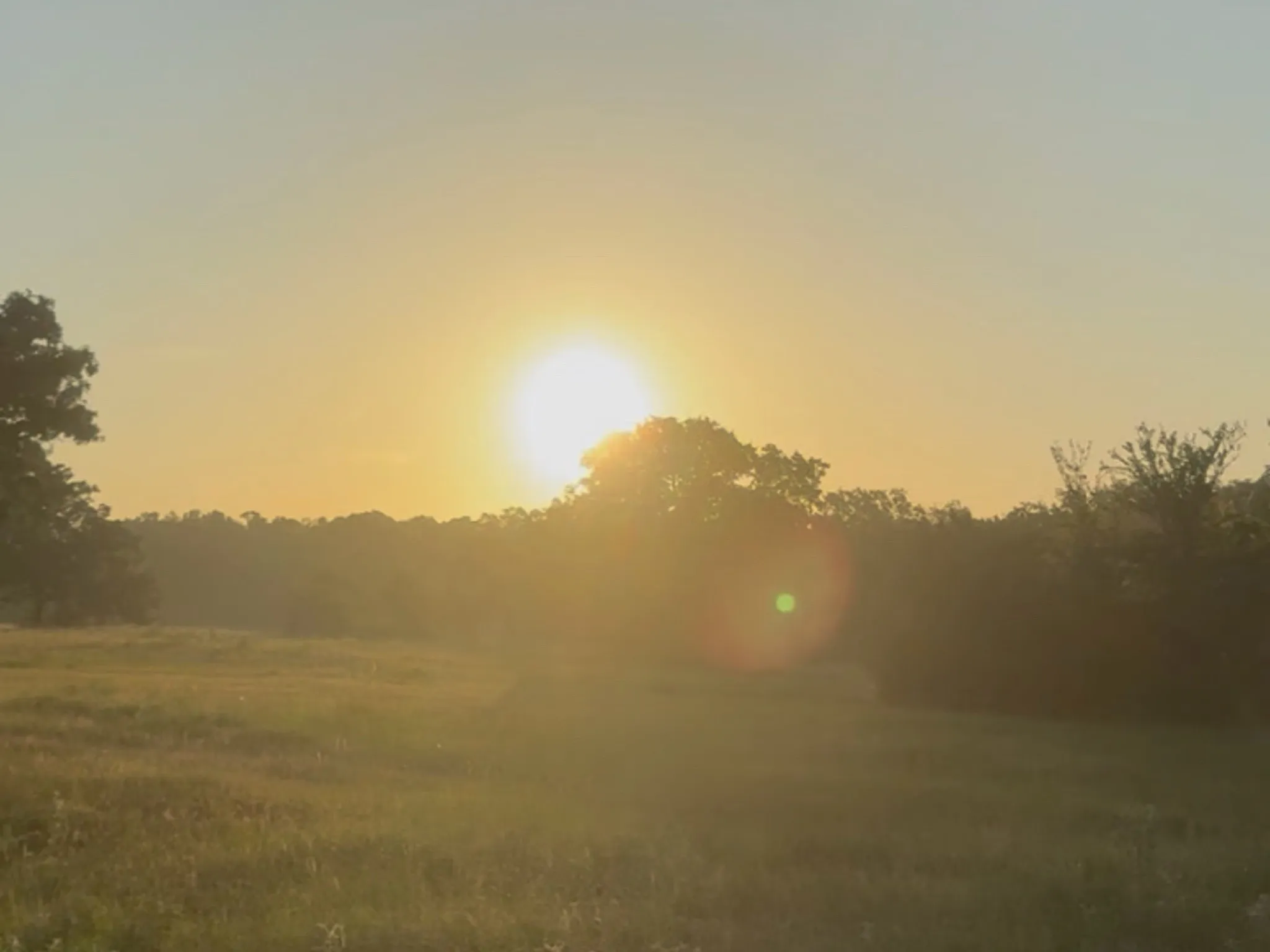 Unimproved Land For Sale in Freestone County , TBD Tract 37 FM 1451 Tract 37, Teague, Texas 75860, 0, 0, Garage spaces, 0 Sqft, built in 0, mls#21344127, Real Estate Agent in Teague, Homes For Sale in Freestone county, Homes For Sale in Teague, Realtor in Teague Texas, Real Estate Brokerage Independent Realty Texas, Luminita Cordes Realtor