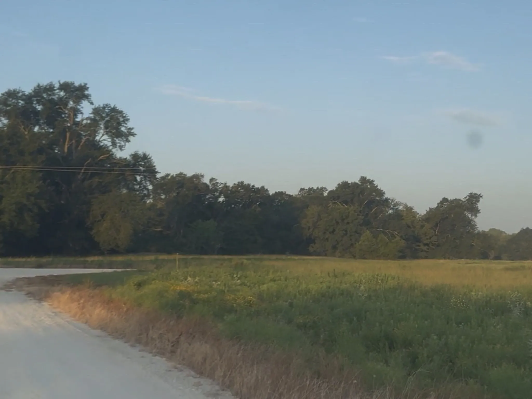Unimproved Land For Sale in Freestone County , TBD Tract 37 FM 1451 Tract 37, Teague, Texas 75860, 0, 0, Garage spaces, 0 Sqft, built in 0, mls#21344127, Real Estate Agent in Teague, Homes For Sale in Freestone county, Homes For Sale in Teague, Realtor in Teague Texas, Real Estate Brokerage Independent Realty Texas, Luminita Cordes Realtor