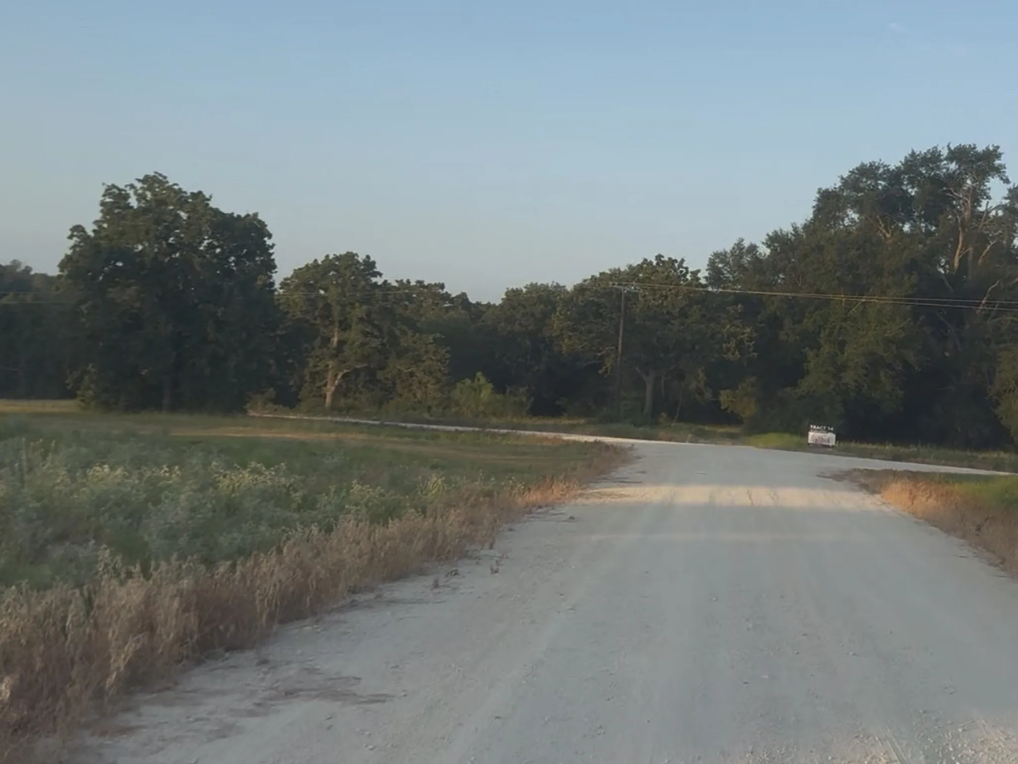 Unimproved Land For Sale in Freestone County , TBD Tract 37 FM 1451 Tract 37, Teague, Texas 75860, 0, 0, Garage spaces, 0 Sqft, built in 0, mls#21344127, Real Estate Agent in Teague, Homes For Sale in Freestone county, Homes For Sale in Teague, Realtor in Teague Texas, Real Estate Brokerage Independent Realty Texas, Luminita Cordes Realtor