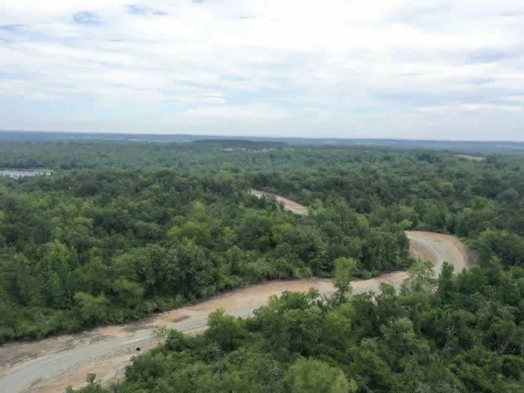 Unimproved Land For Sale in Freestone County , TBD Tract 37 FM 1451 Tract 37, Teague, Texas 75860, 0, 0, Garage spaces, 0 Sqft, built in 0, mls#21344127, Real Estate Agent in Teague, Homes For Sale in Freestone county, Homes For Sale in Teague, Realtor in Teague Texas, Real Estate Brokerage Independent Realty Texas, Luminita Cordes Realtor