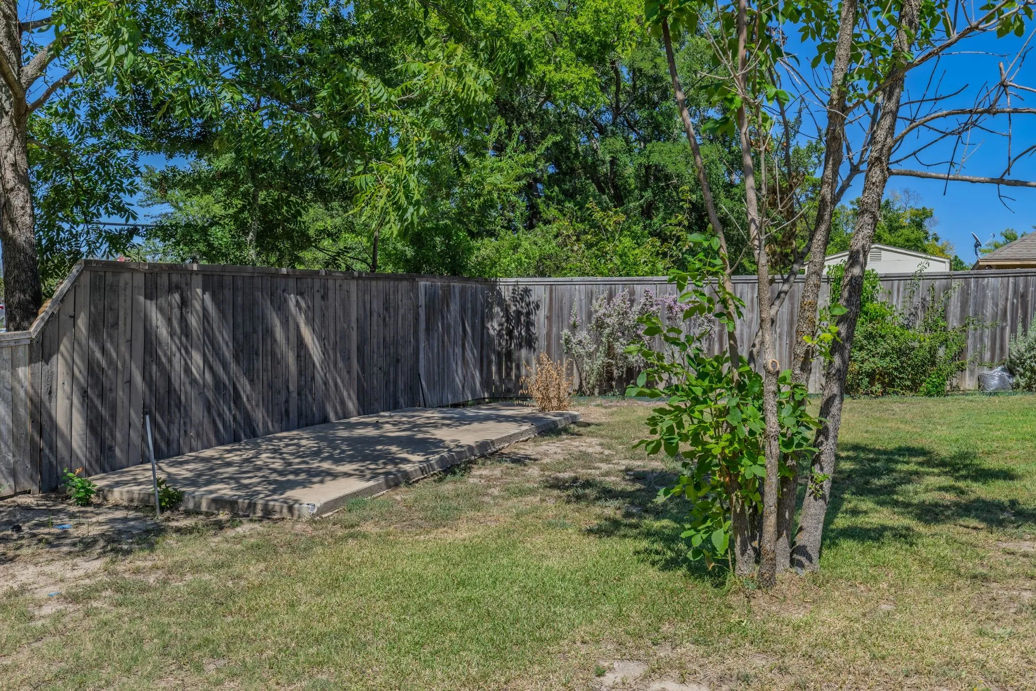 Private backyard featuring a concrete patio, wood privacy fencing, mature trees, and established plantings