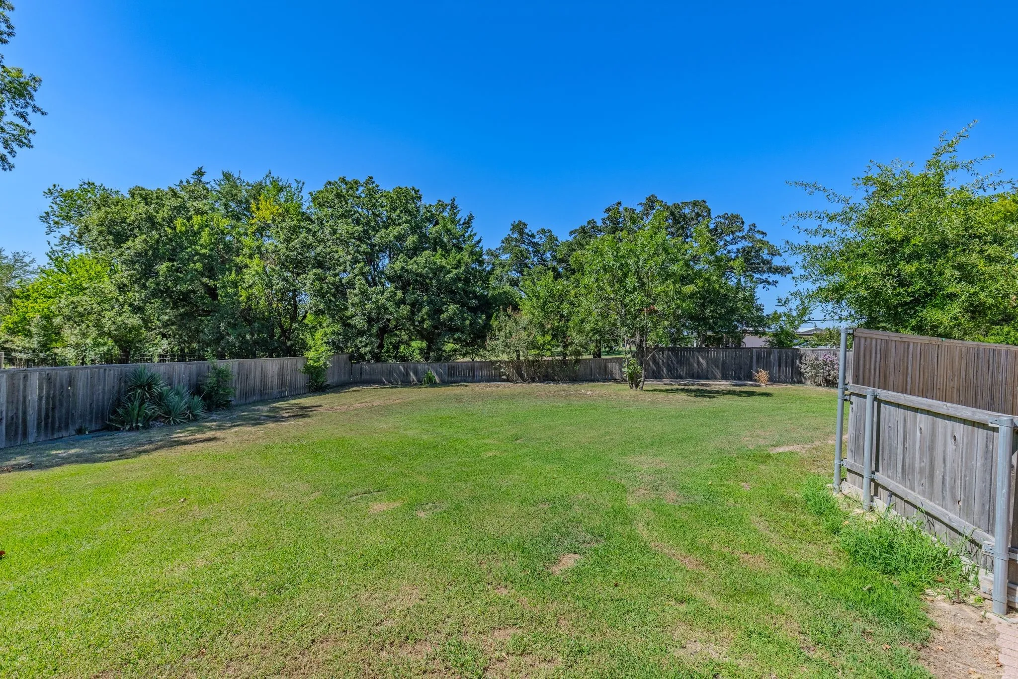 Expansive grassy lawn surrounded by wood privacy fencing and mature trees