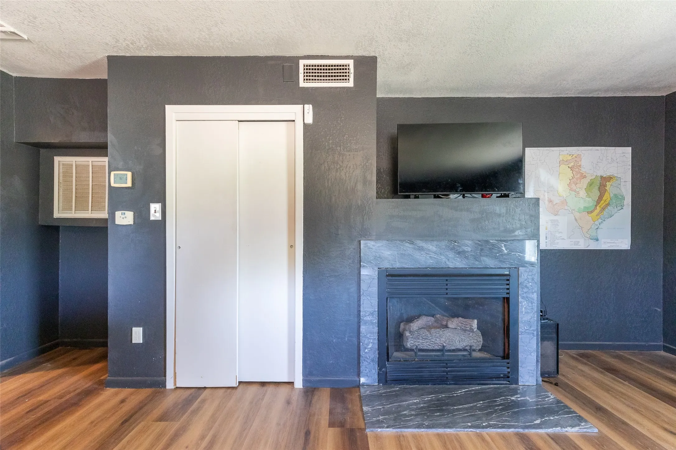Wood-finish flooring throughout, featuring a fireplace with a stone surround and hearth