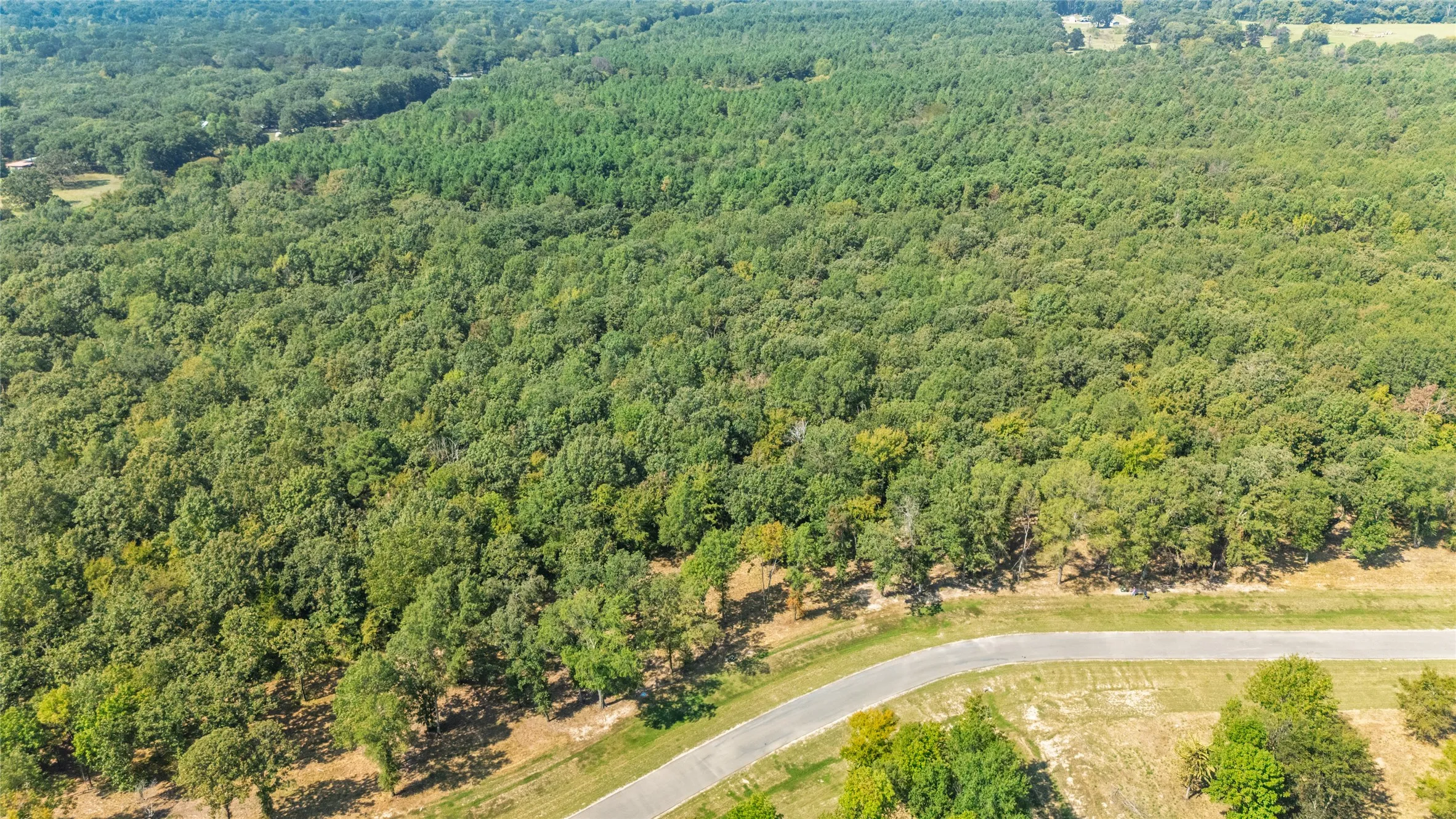 Unimproved Land For Sale in Wood County , TBD Angler Shores, Yantis, Texas 75497, 0, 0, Garage spaces, 0 Sqft, built in 0, Price $77,900, mls#21344334, Real Estate Agent in Yantis, Homes For Sale in Wood county, Homes For Sale in Yantis, Realtor in Yantis Texas, Real Estate Brokerage Independent Realty Texas, Luminita Cordes Realtor