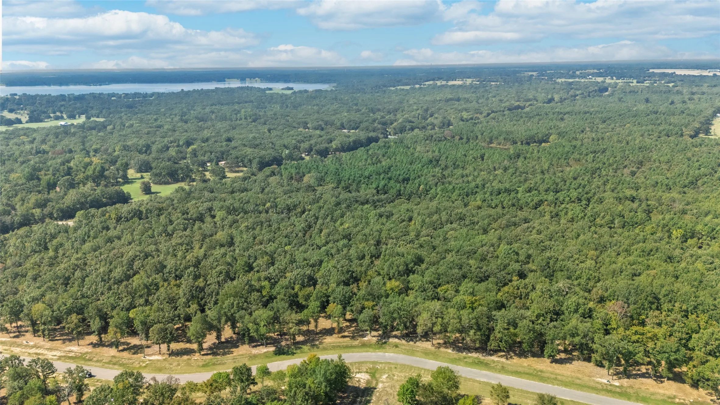 Unimproved Land For Sale in Wood County , TBD Angler Shores, Yantis, Texas 75497, 0, 0, Garage spaces, 0 Sqft, built in 0, Price $77,900, mls#21344334, Real Estate Agent in Yantis, Homes For Sale in Wood county, Homes For Sale in Yantis, Realtor in Yantis Texas, Real Estate Brokerage Independent Realty Texas, Luminita Cordes Realtor