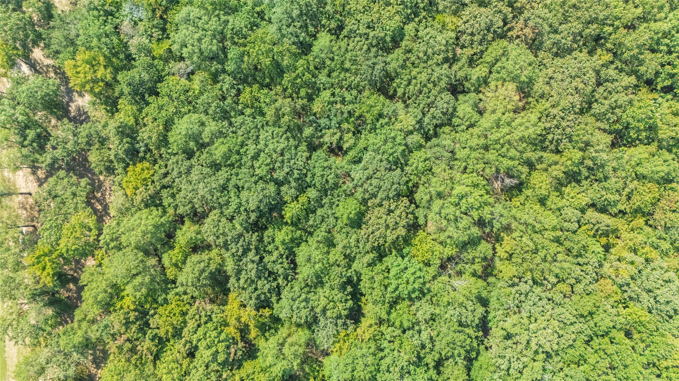 Unimproved Land For Sale in Wood County , TBD Angler Shores, Yantis, Texas 75497, 0, 0, Garage spaces, 0 Sqft, built in 0, Price $77,900, mls#21344334, Real Estate Agent in Yantis, Homes For Sale in Wood county, Homes For Sale in Yantis, Realtor in Yantis Texas, Real Estate Brokerage Independent Realty Texas, Luminita Cordes Realtor