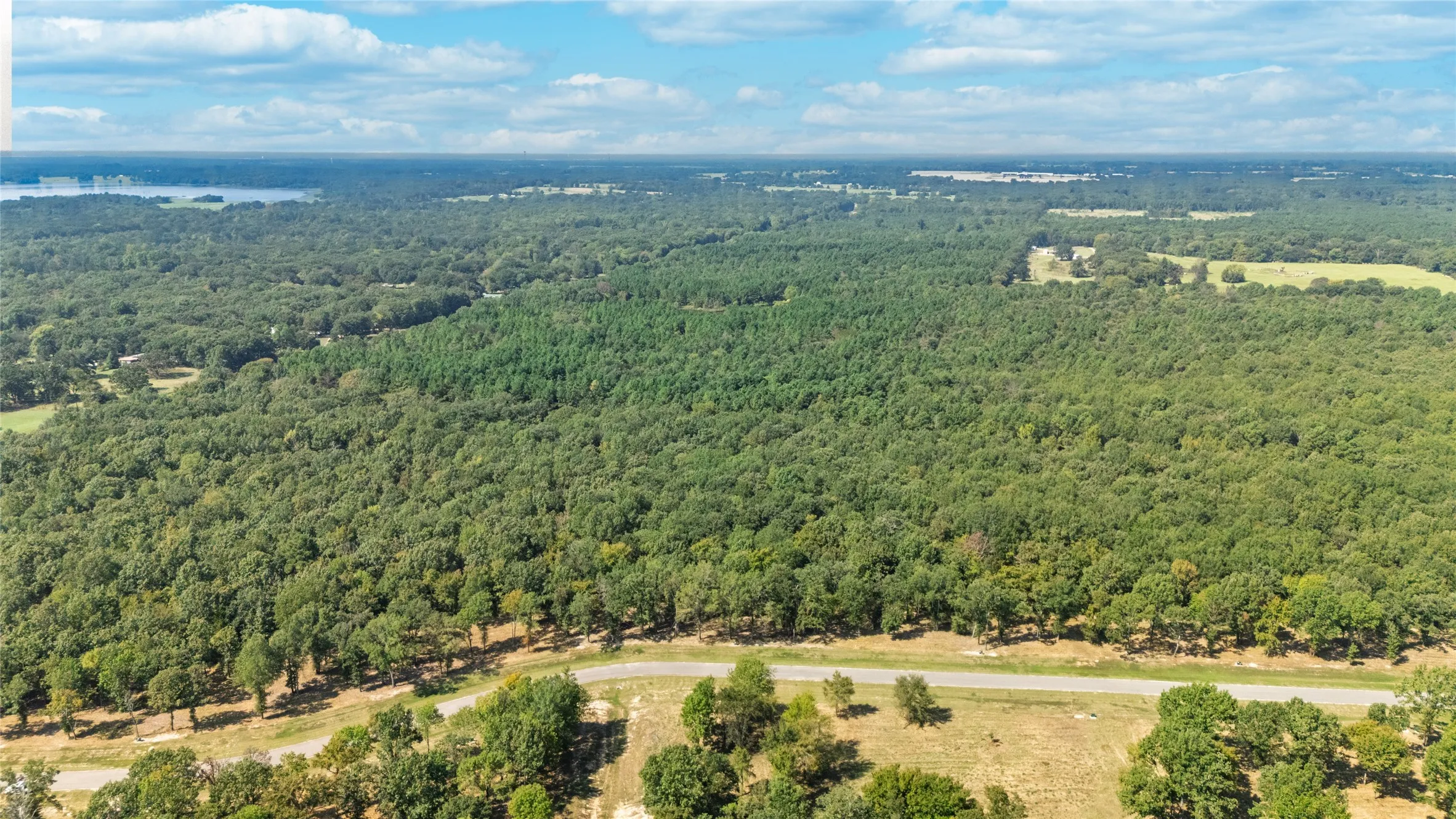 Unimproved Land For Sale in Wood County , TBD Angler Shores, Yantis, Texas 75497, 0, 0, Garage spaces, 0 Sqft, built in 0, Price $77,900, mls#21344334, Real Estate Agent in Yantis, Homes For Sale in Wood county, Homes For Sale in Yantis, Realtor in Yantis Texas, Real Estate Brokerage Independent Realty Texas, Luminita Cordes Realtor
