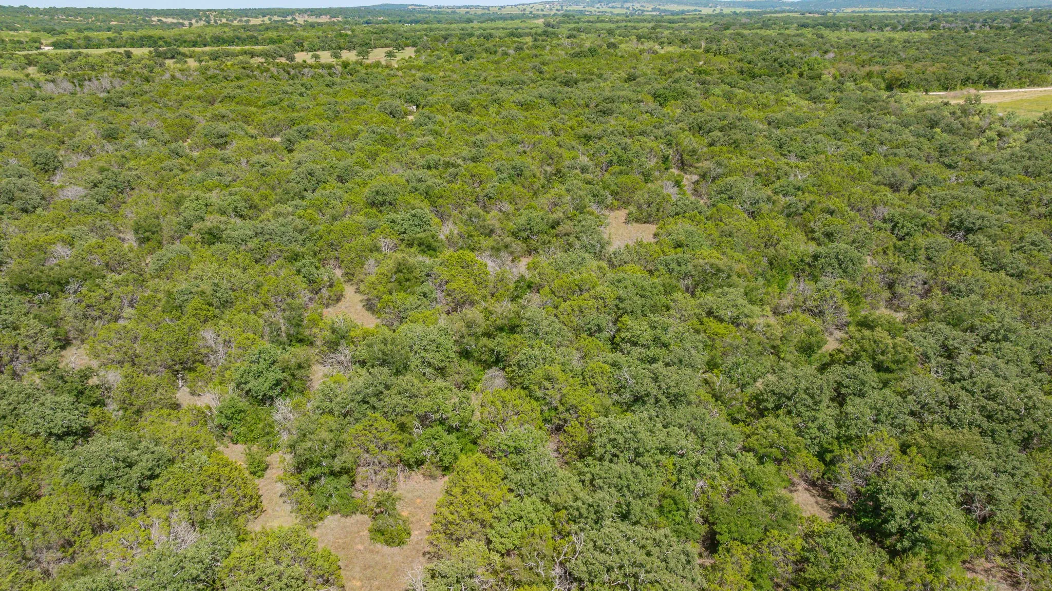 Unimproved Land For Sale in Erath County , TBD County Road 109, Mingus, Texas 76463, 0, 0, Garage spaces, 0 Sqft, built in 0, Price $434,939, mls#21344332, Real Estate Agent in Mingus, Homes For Sale in Erath county, Homes For Sale in Mingus, Realtor in Mingus Texas, Real Estate Brokerage Independent Realty Texas, Luminita Cordes Realtor