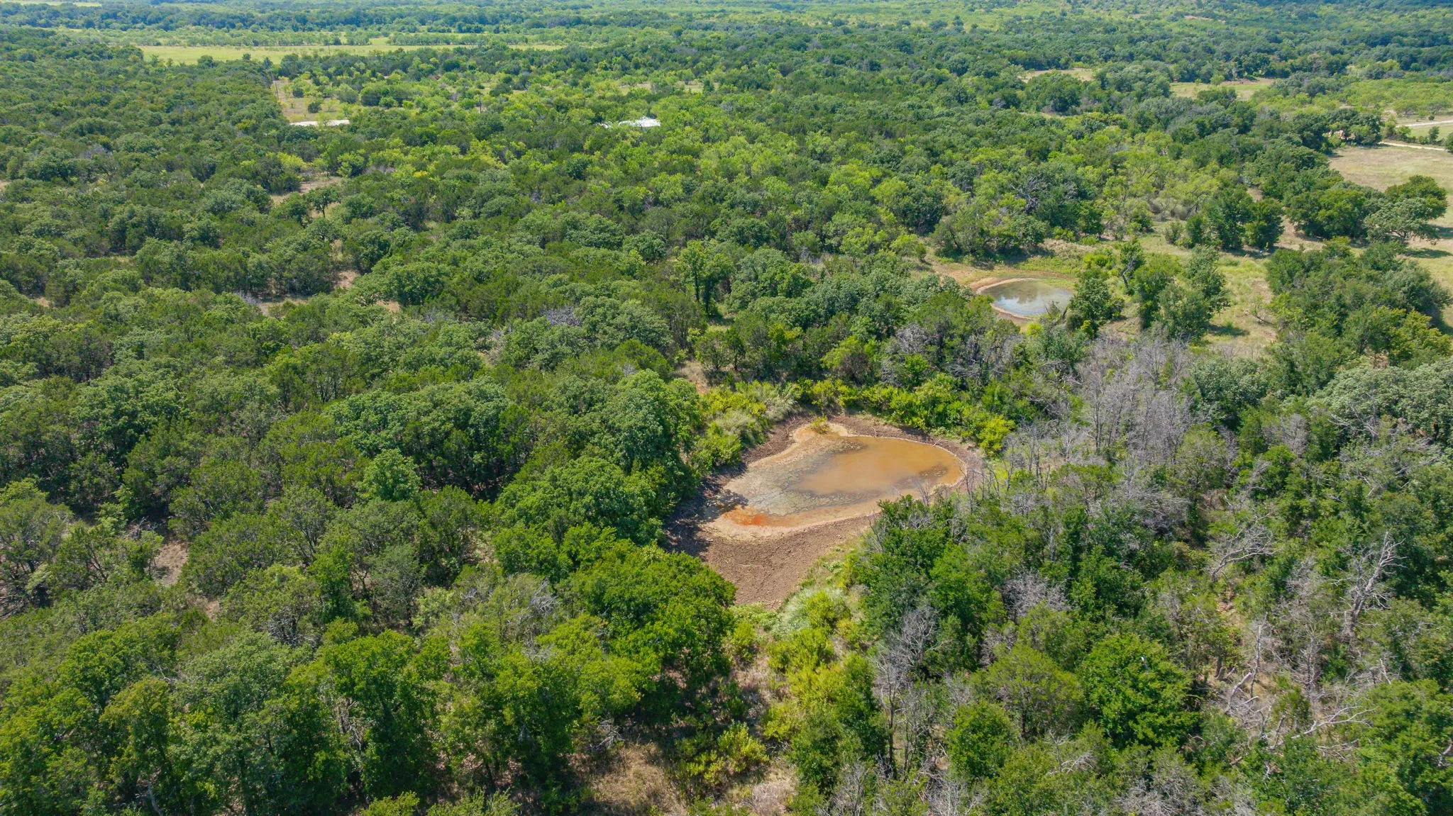 Unimproved Land For Sale in Erath County , TBD County Road 109, Mingus, Texas 76463, 0, 0, Garage spaces, 0 Sqft, built in 0, Price $434,939, mls#21344332, Real Estate Agent in Mingus, Homes For Sale in Erath county, Homes For Sale in Mingus, Realtor in Mingus Texas, Real Estate Brokerage Independent Realty Texas, Luminita Cordes Realtor
